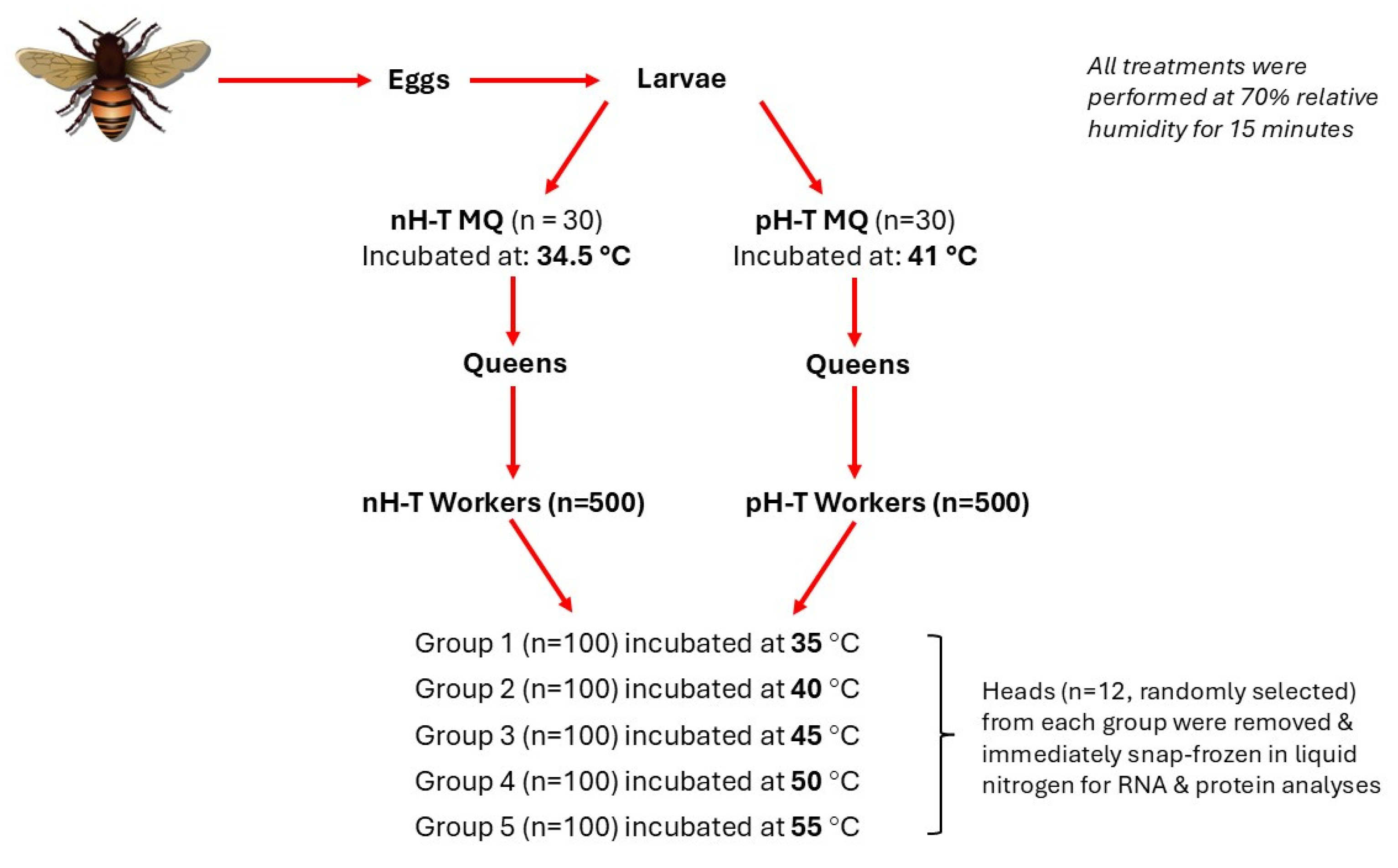Stresses 05 00032 g004