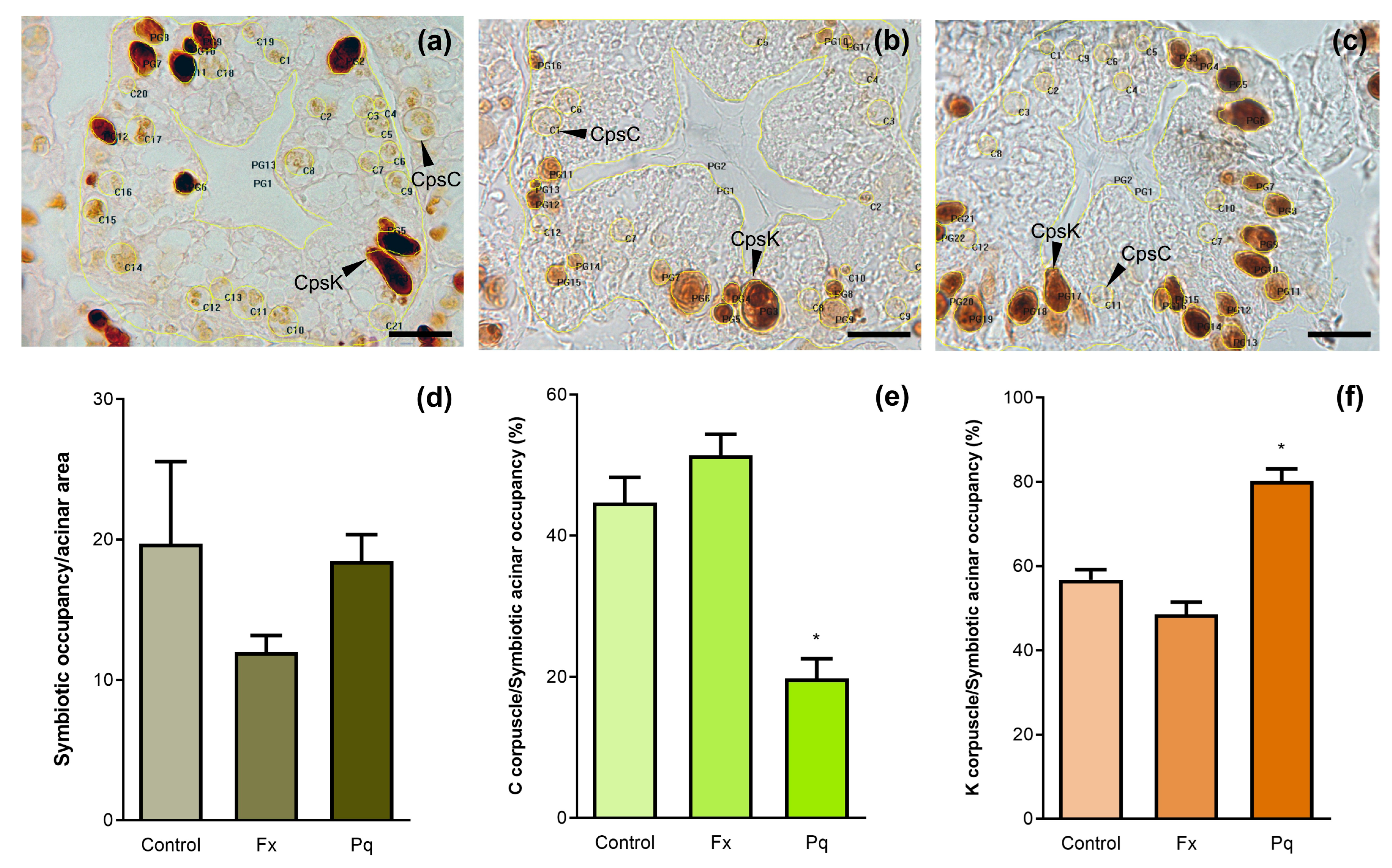 Stresses 05 00033 g003