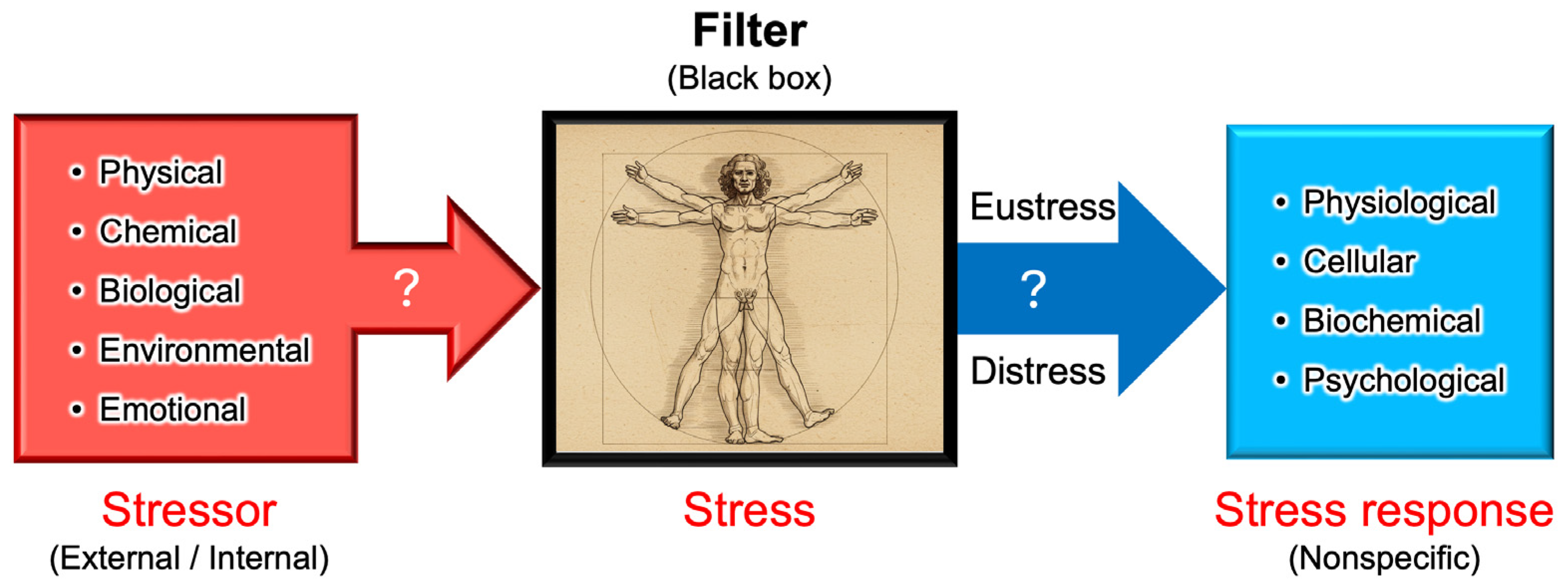 Stresses 05 00037 g004