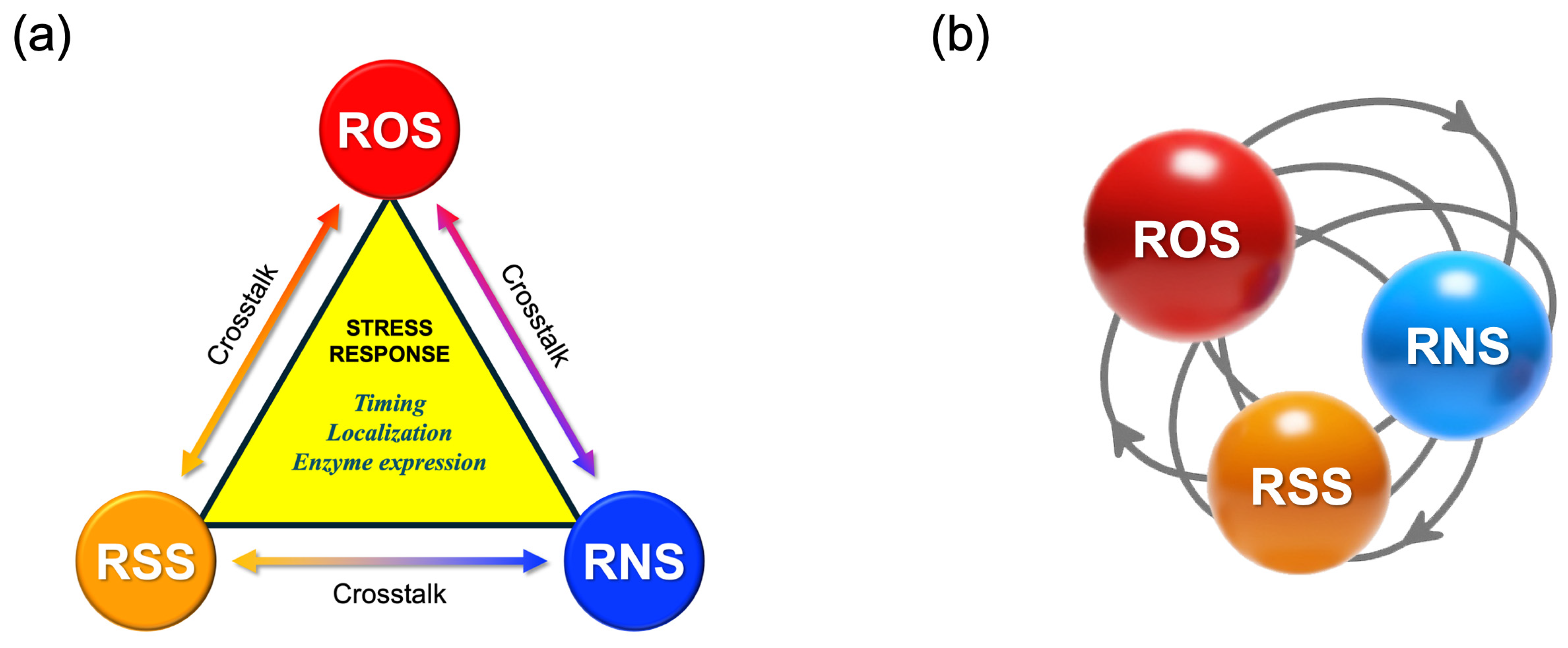 Stresses 05 00037 g008