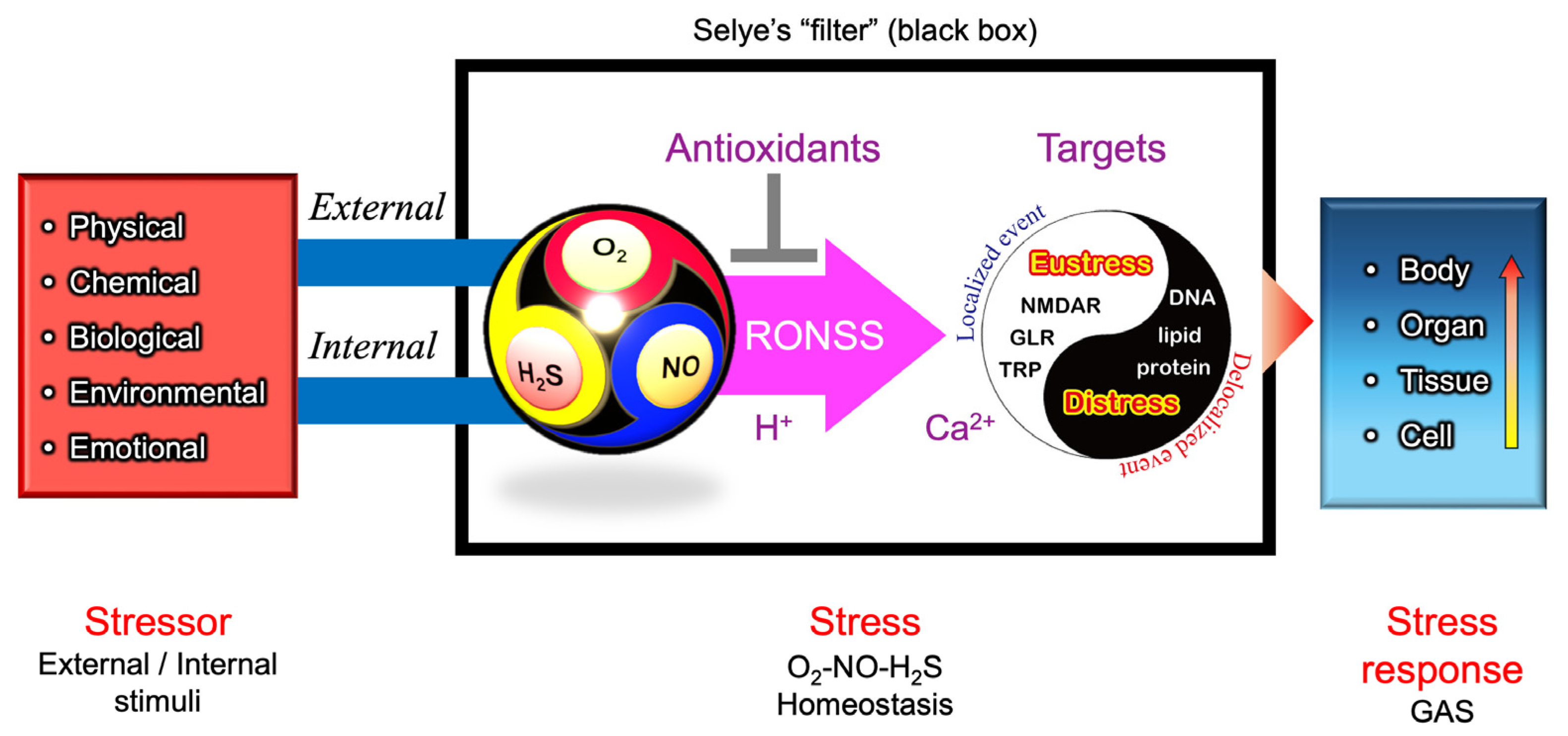 Stresses 05 00037 g009