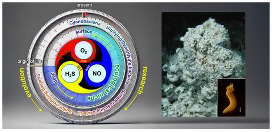 Stresses 05 00037 g011