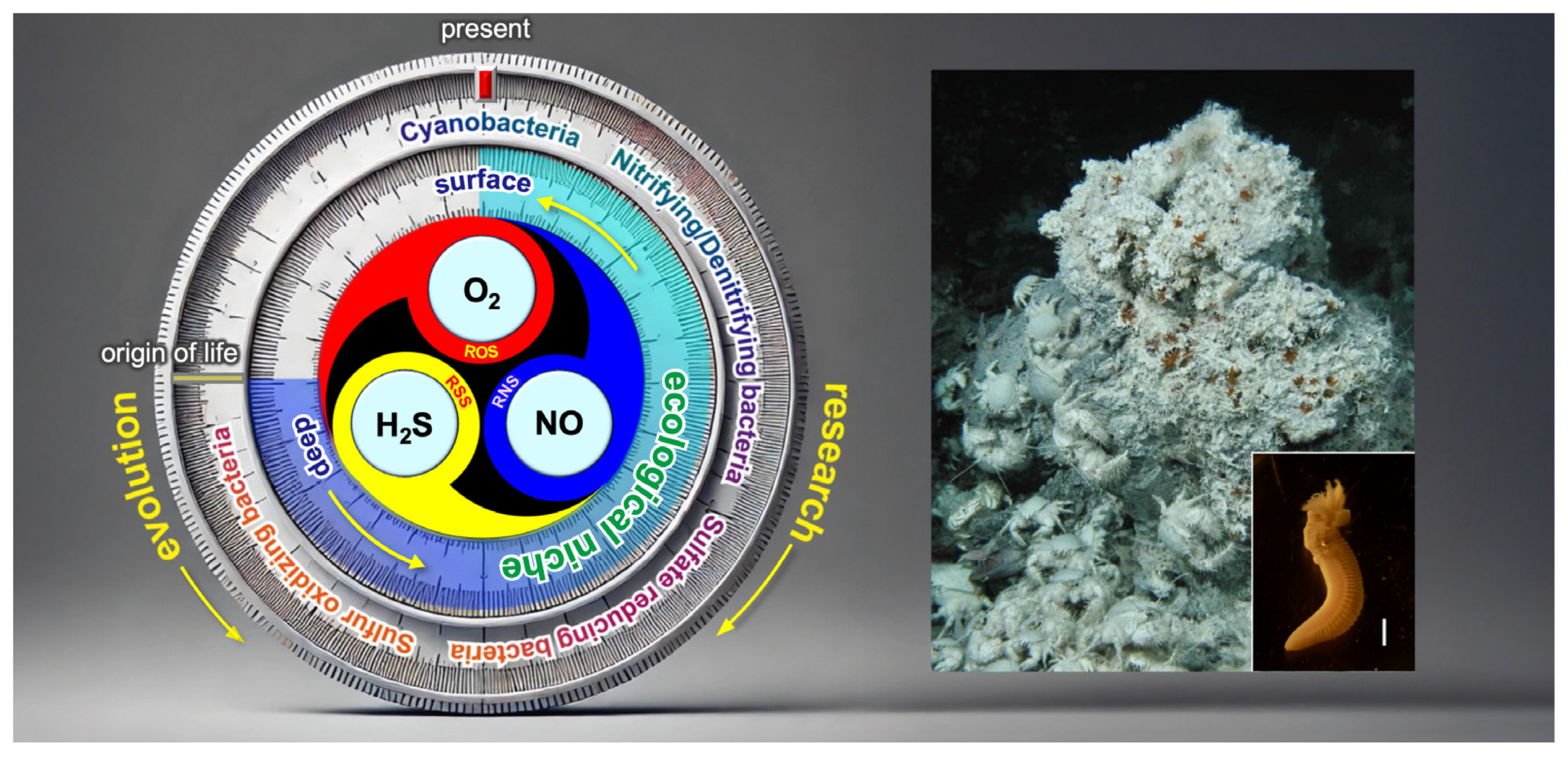 Stresses 05 00037 g011