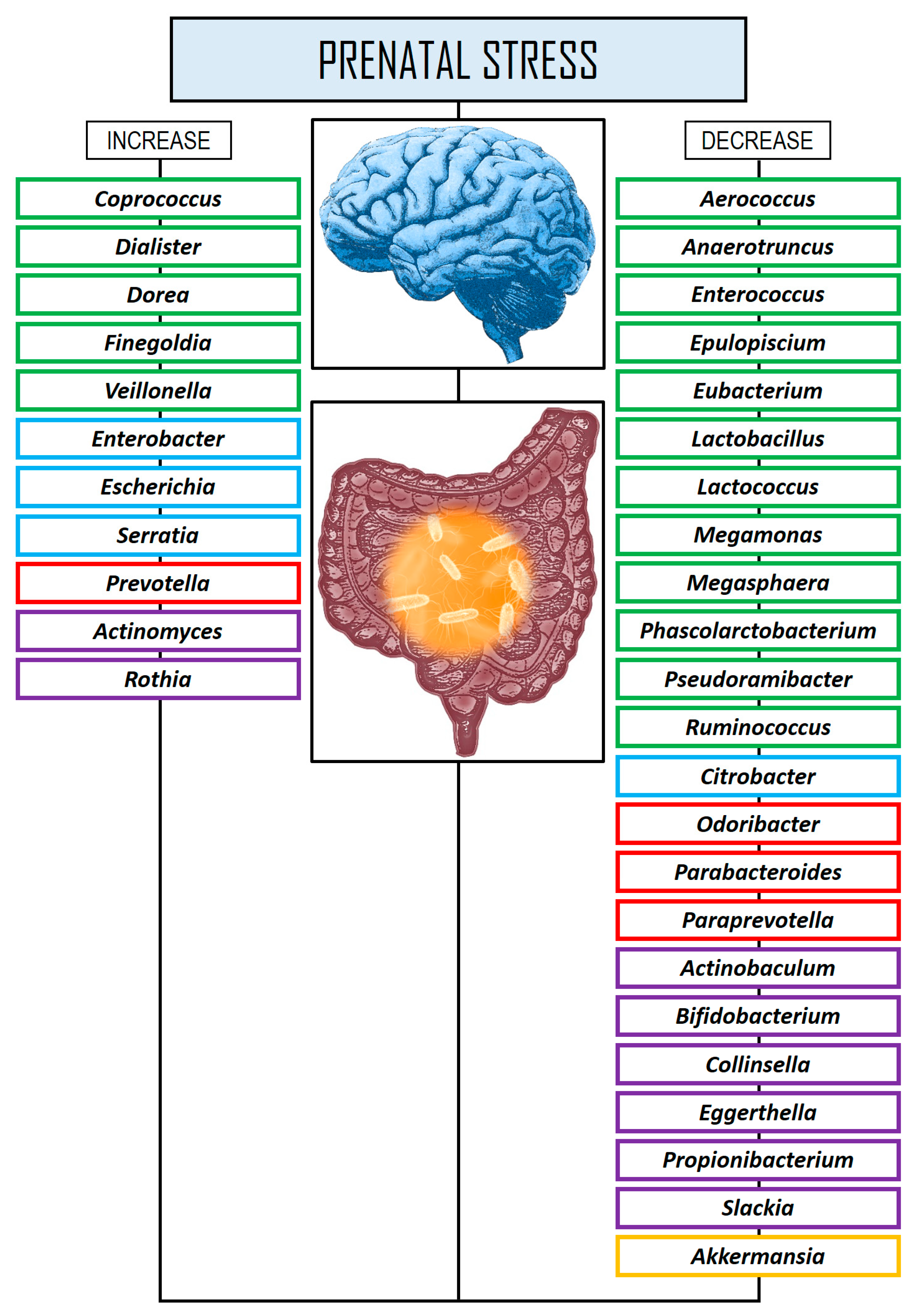 Stresses 05 00038 g001