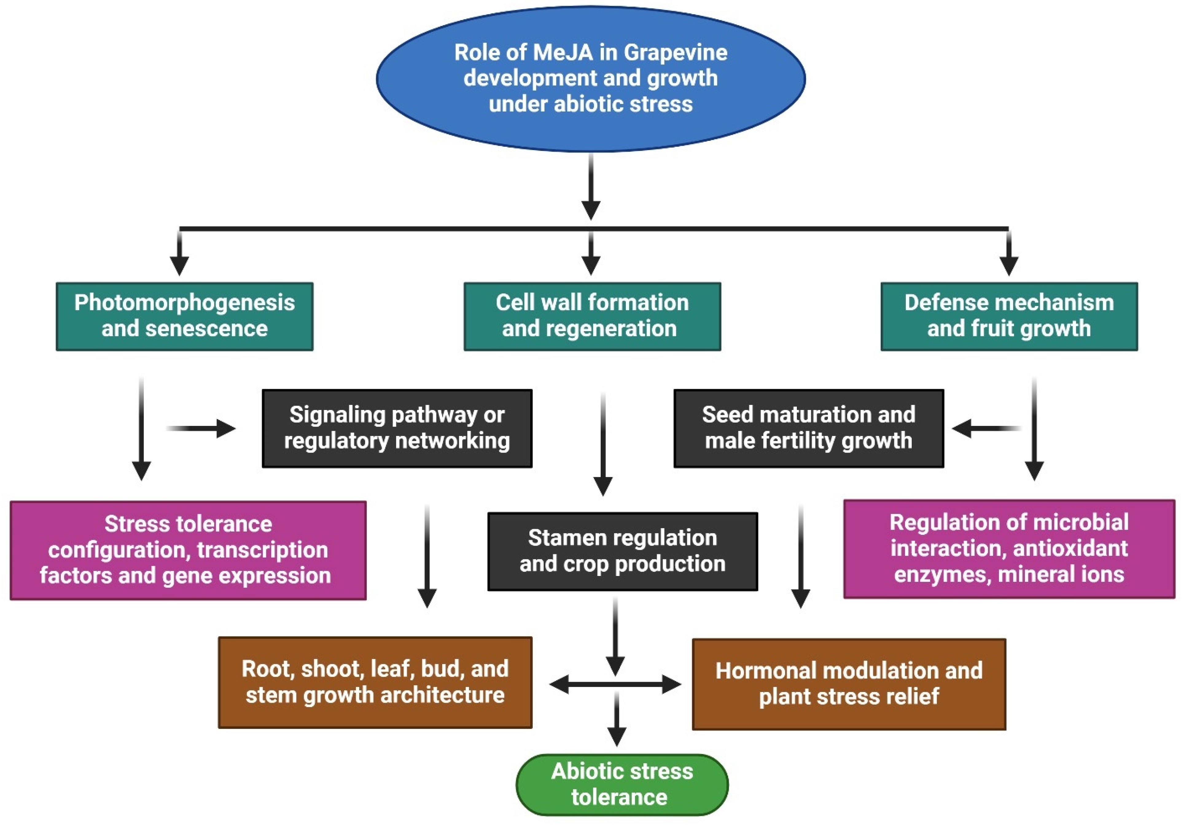 Stresses 05 00040 g003