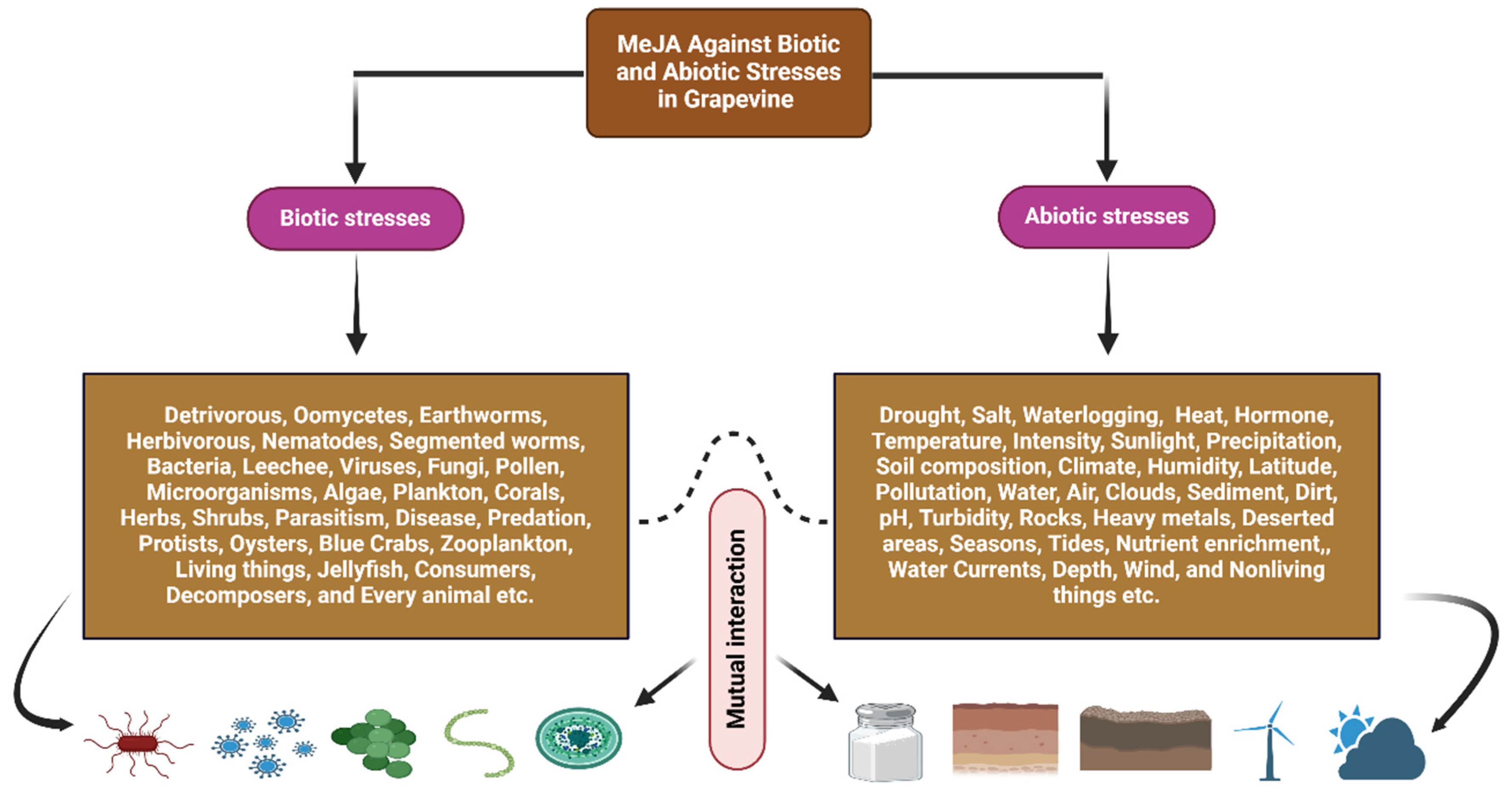 Stresses 05 00040 g004