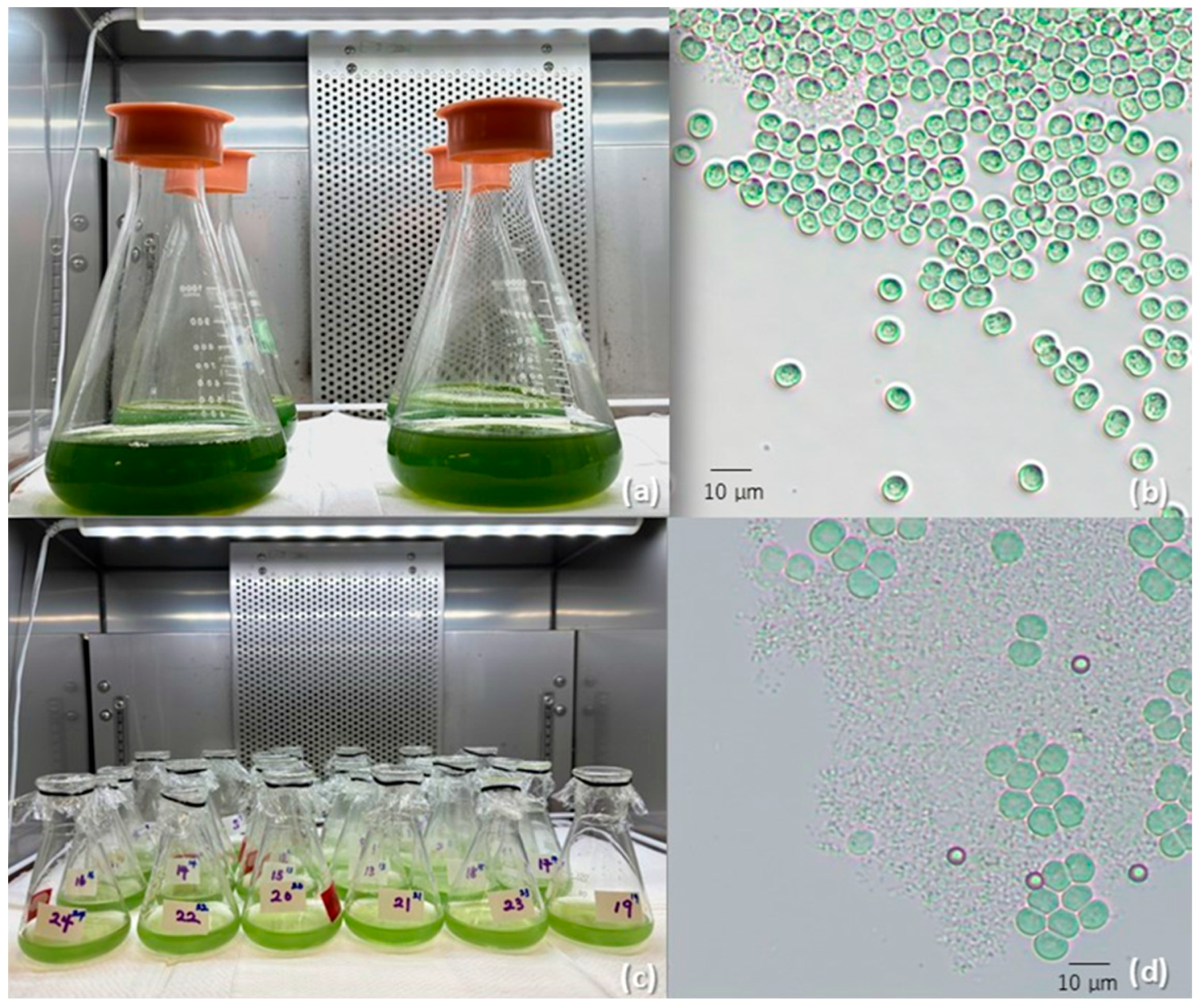 Stresses 05 00043 g002