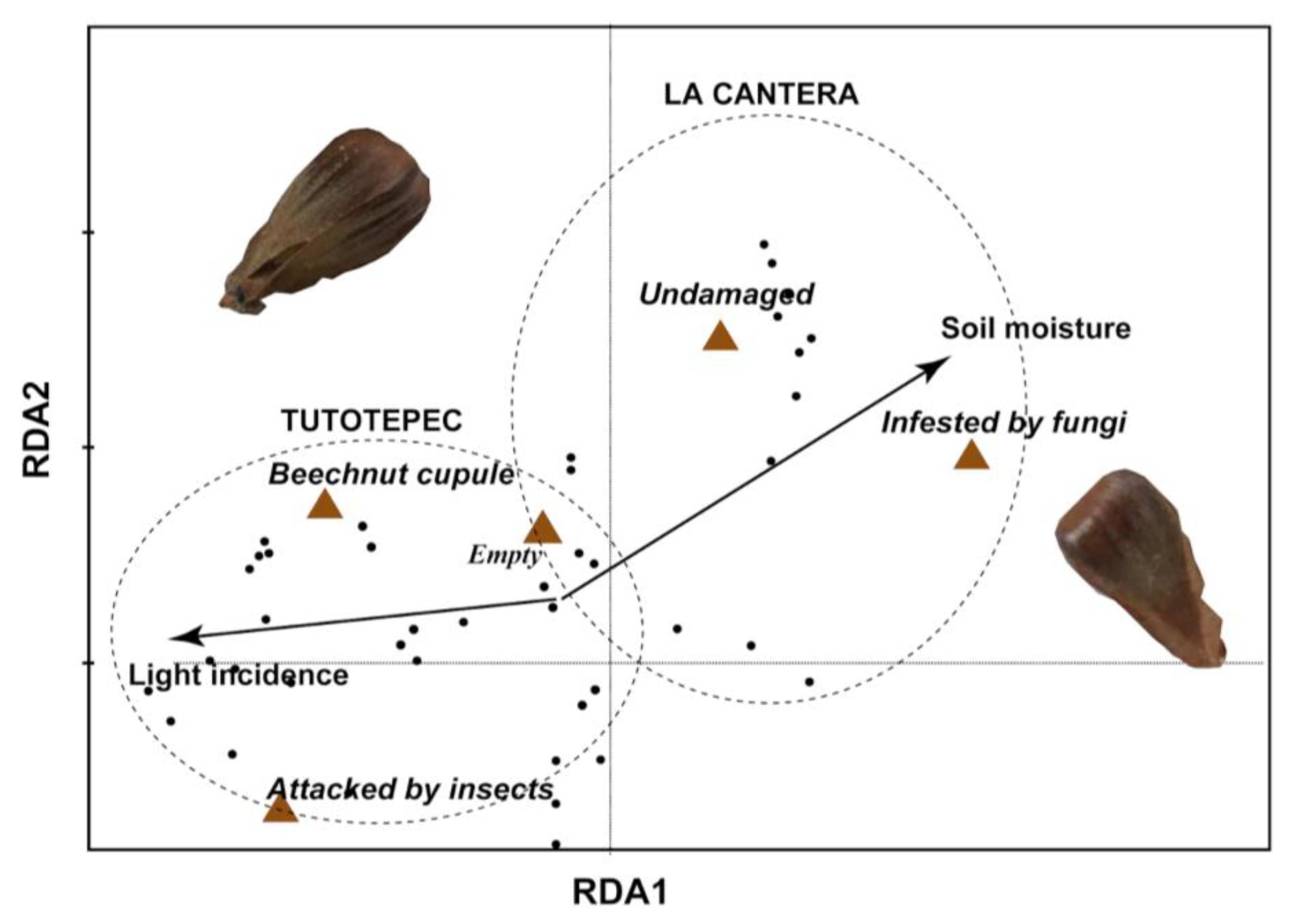 Stresses 05 00044 g003