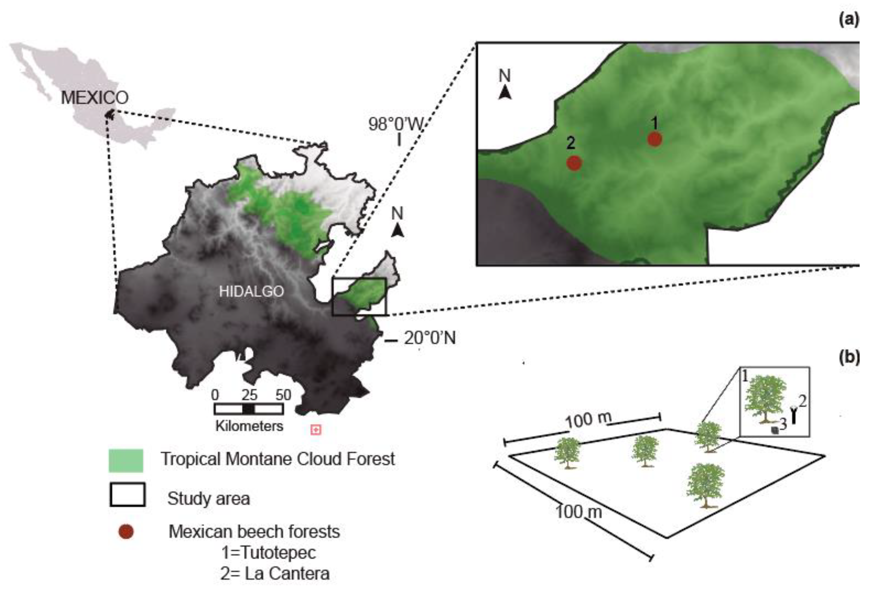 Stresses 05 00044 g004