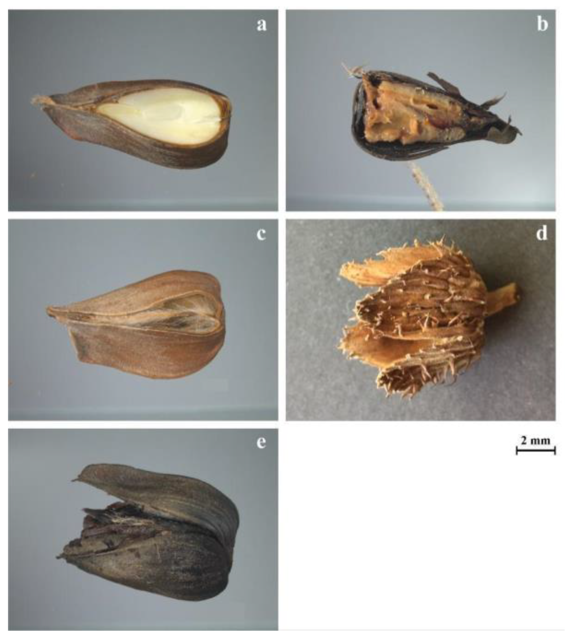 Stresses 05 00044 g005