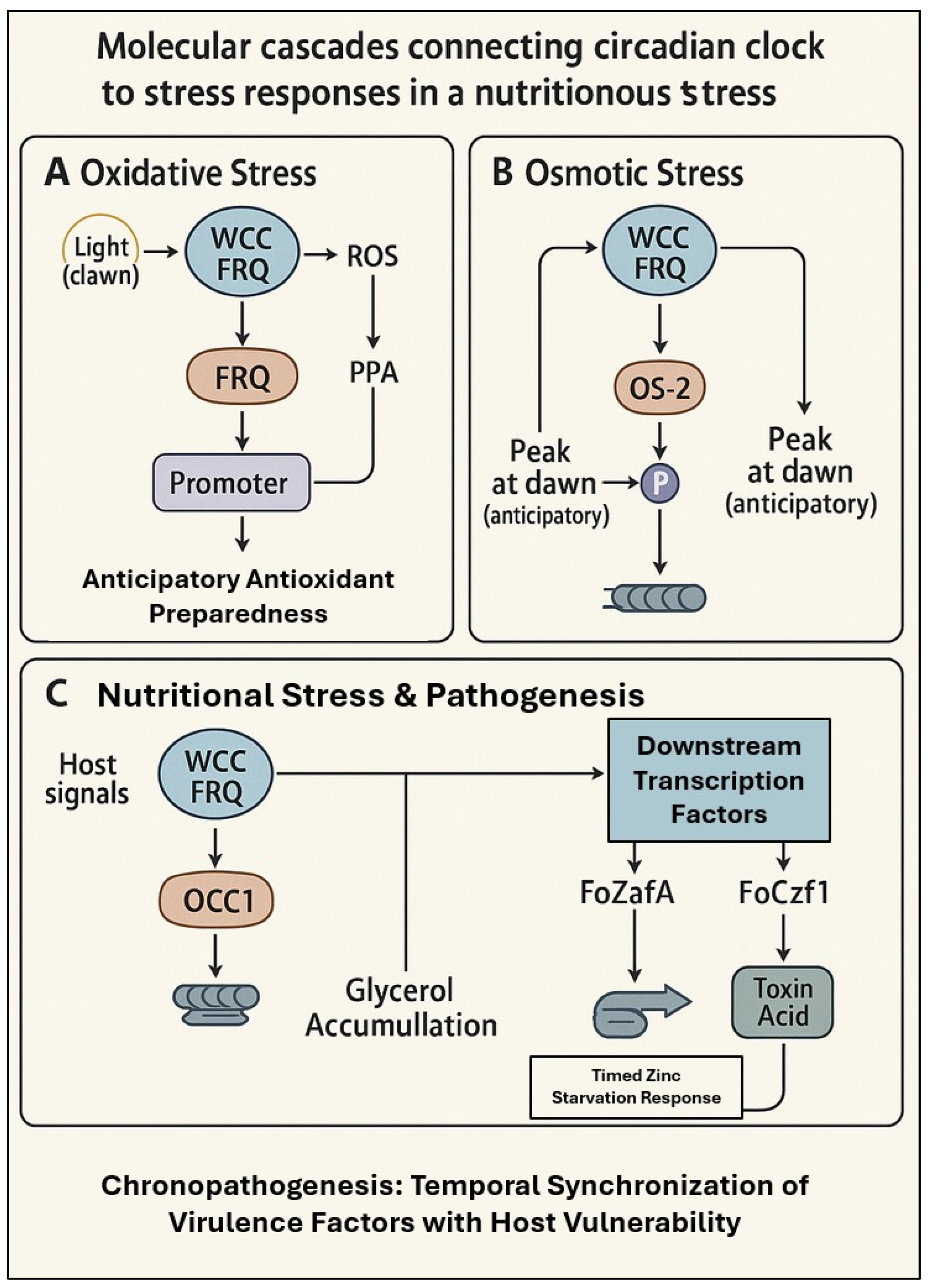 Stresses 05 00047 g002