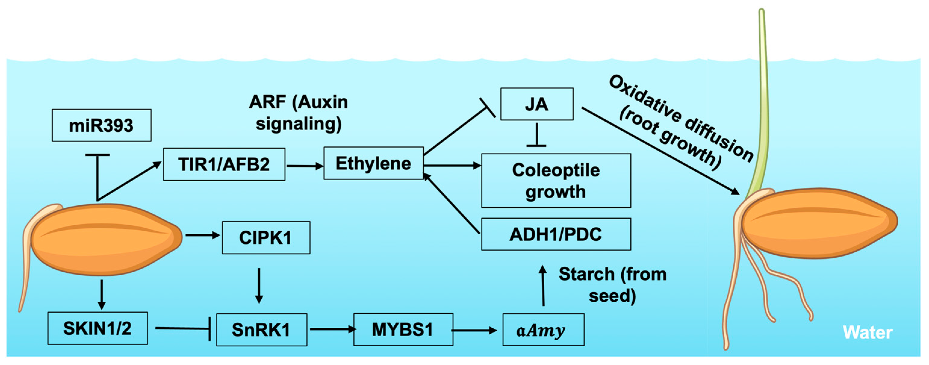 Stresses 05 00049 g001