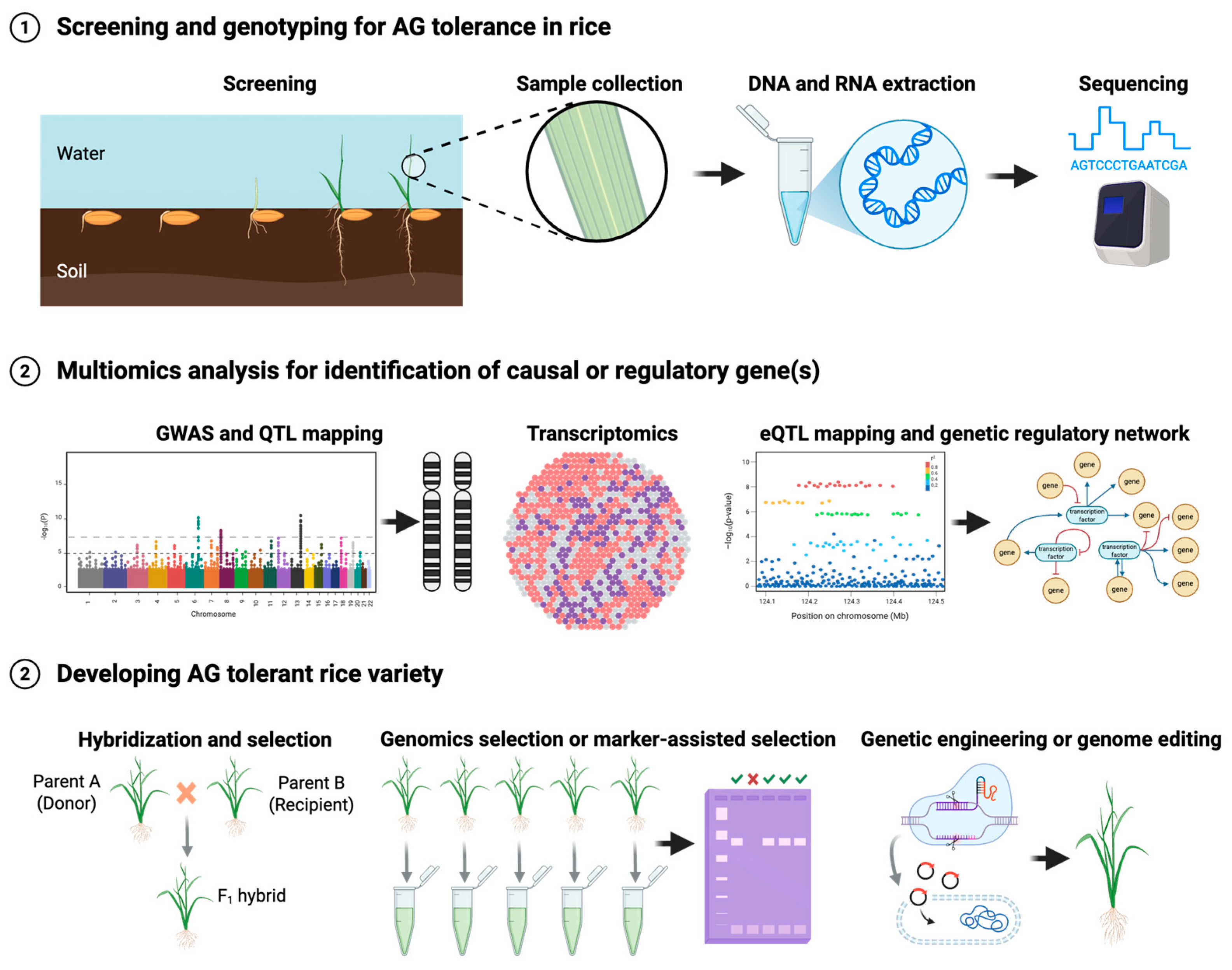 Stresses 05 00049 g003