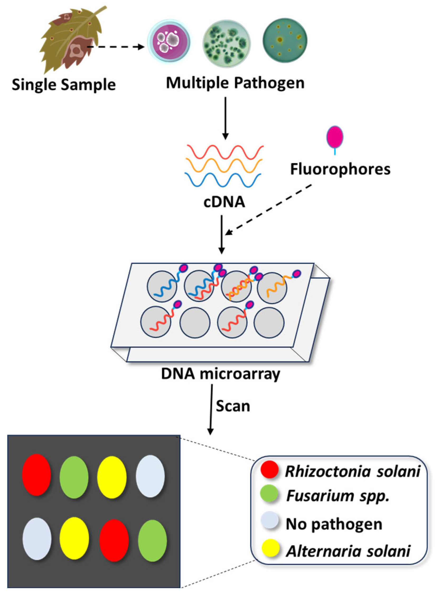 Stresses 05 00056 g003