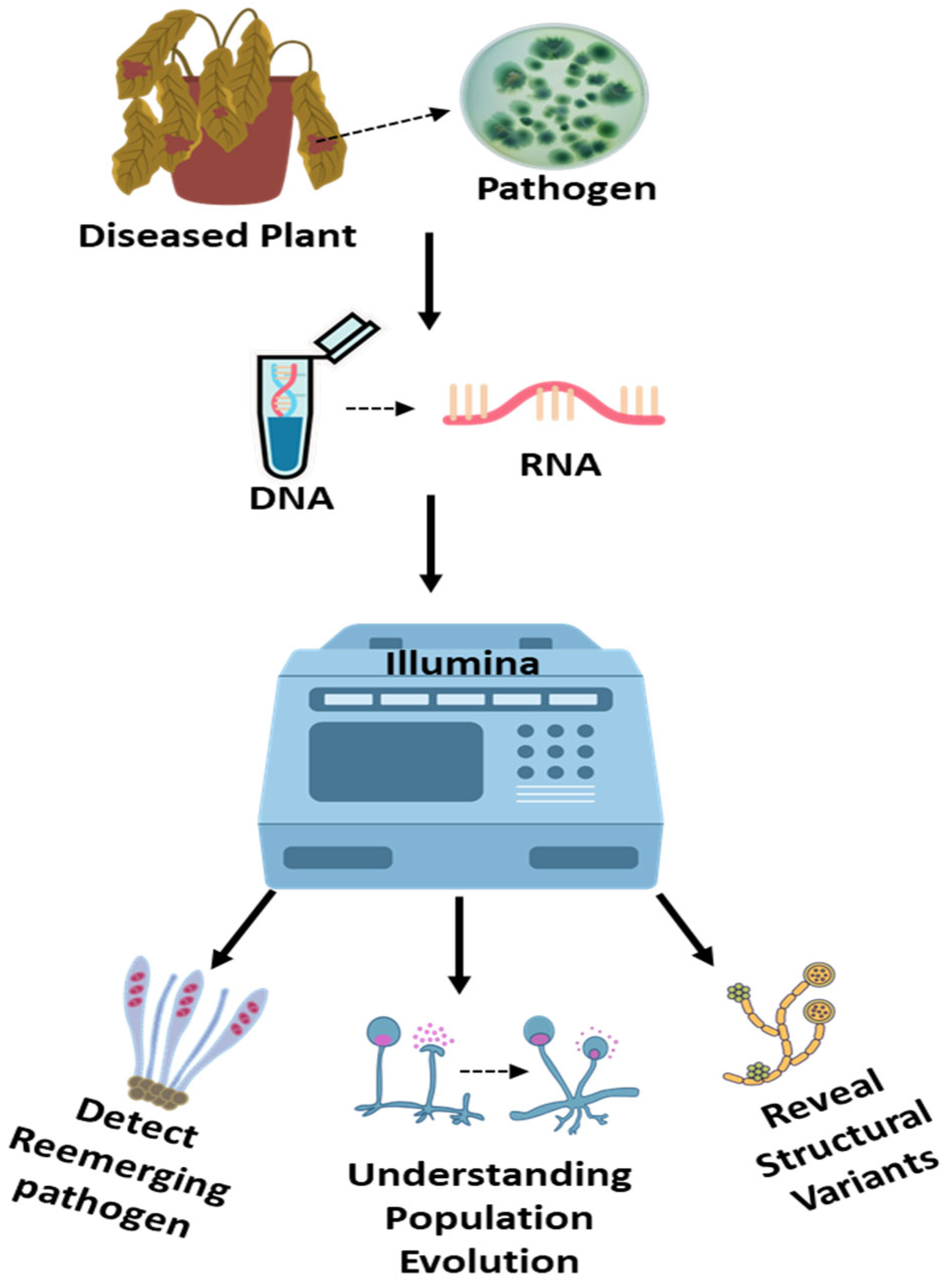 Stresses 05 00056 g004