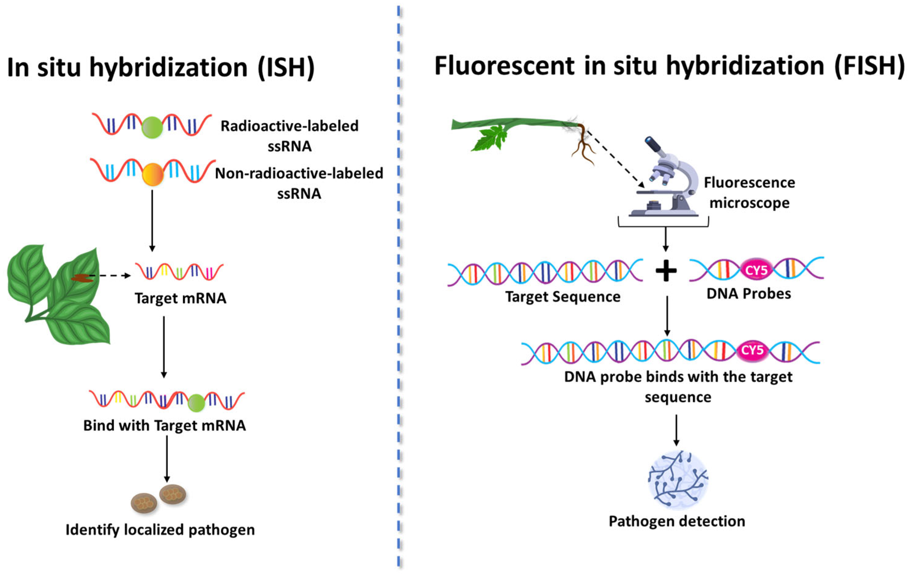 Stresses 05 00056 g005