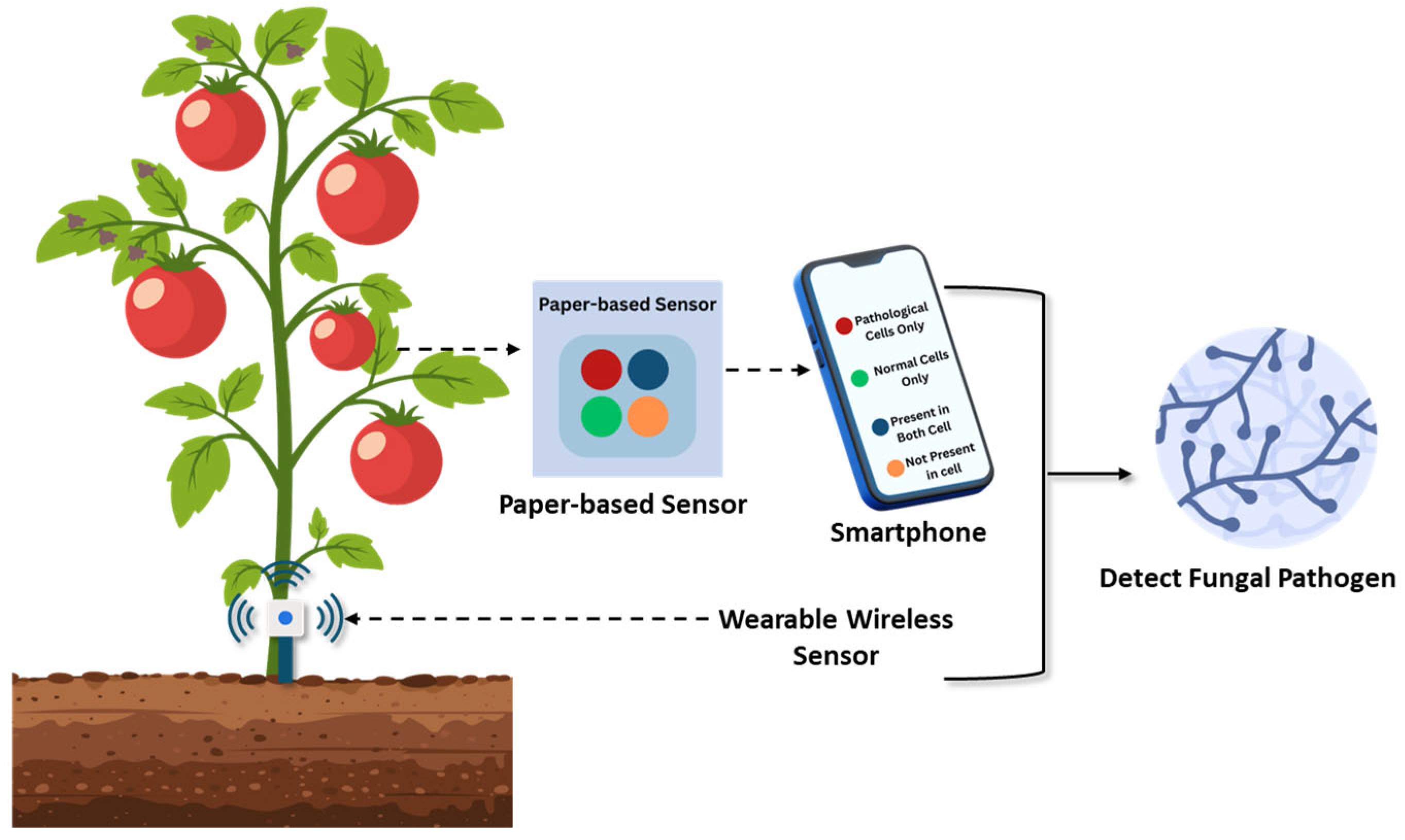 Stresses 05 00056 g006