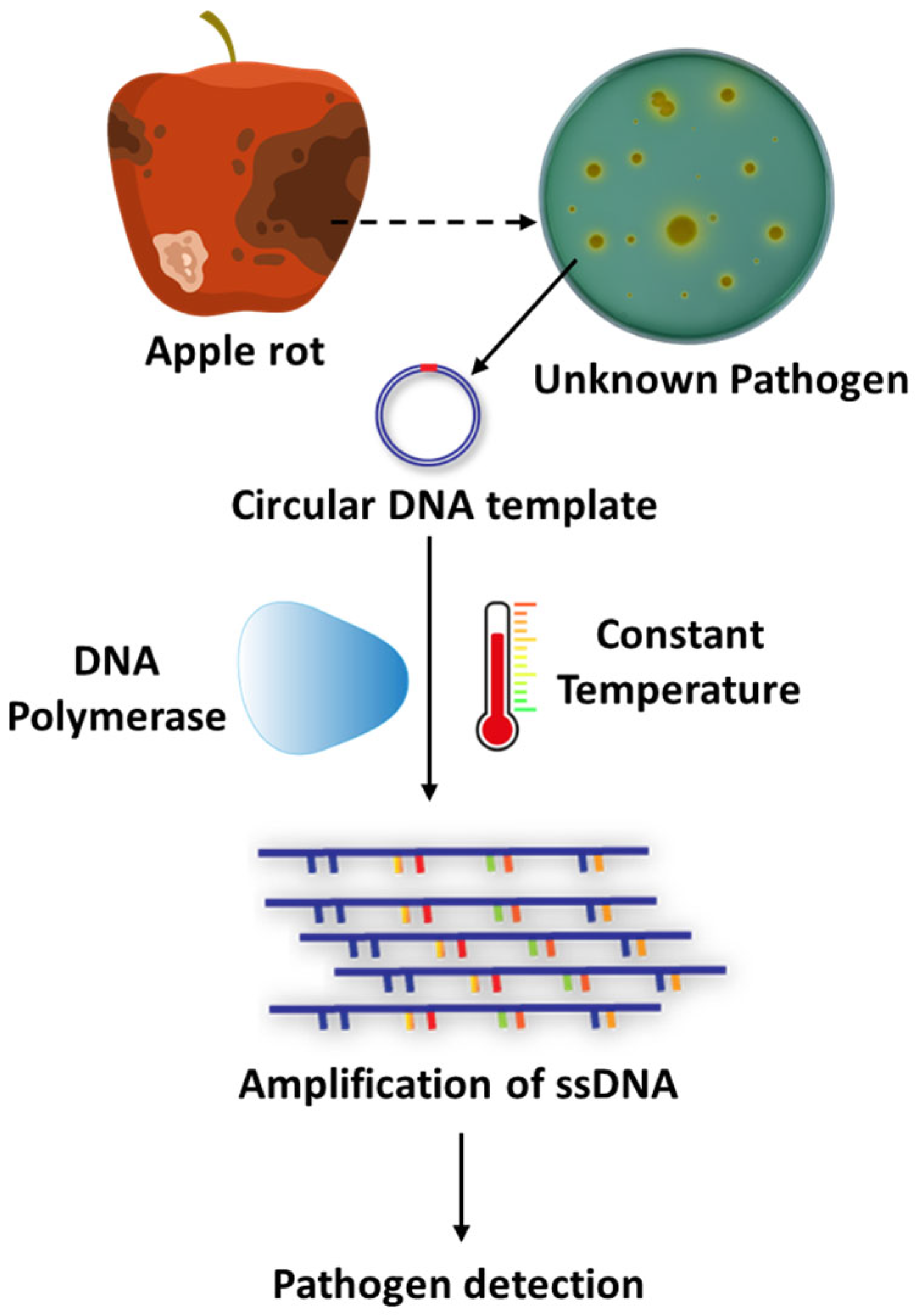 Stresses 05 00056 g007