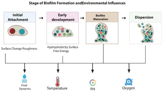 Stresses 05 00058 g001