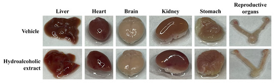 Stresses 06 00044 g0a1