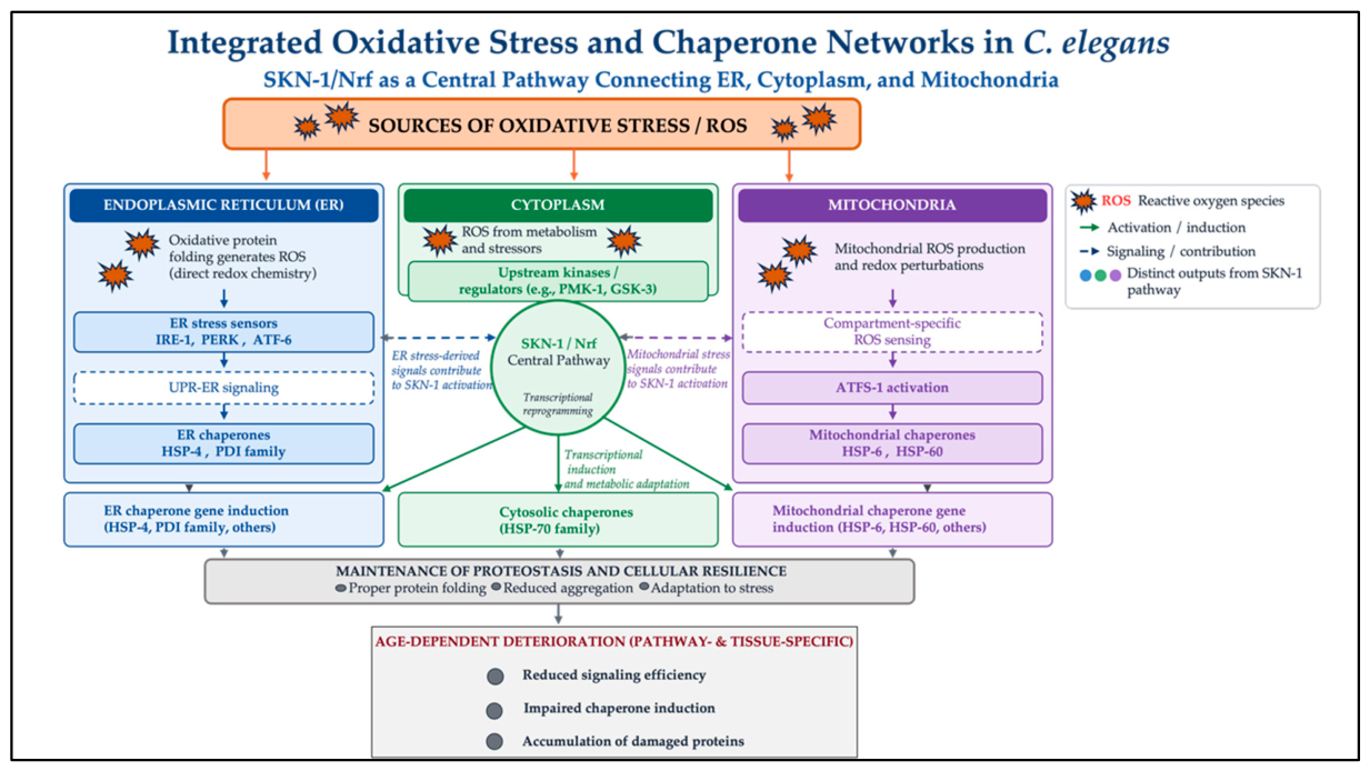 Stresses 06 00062 g001