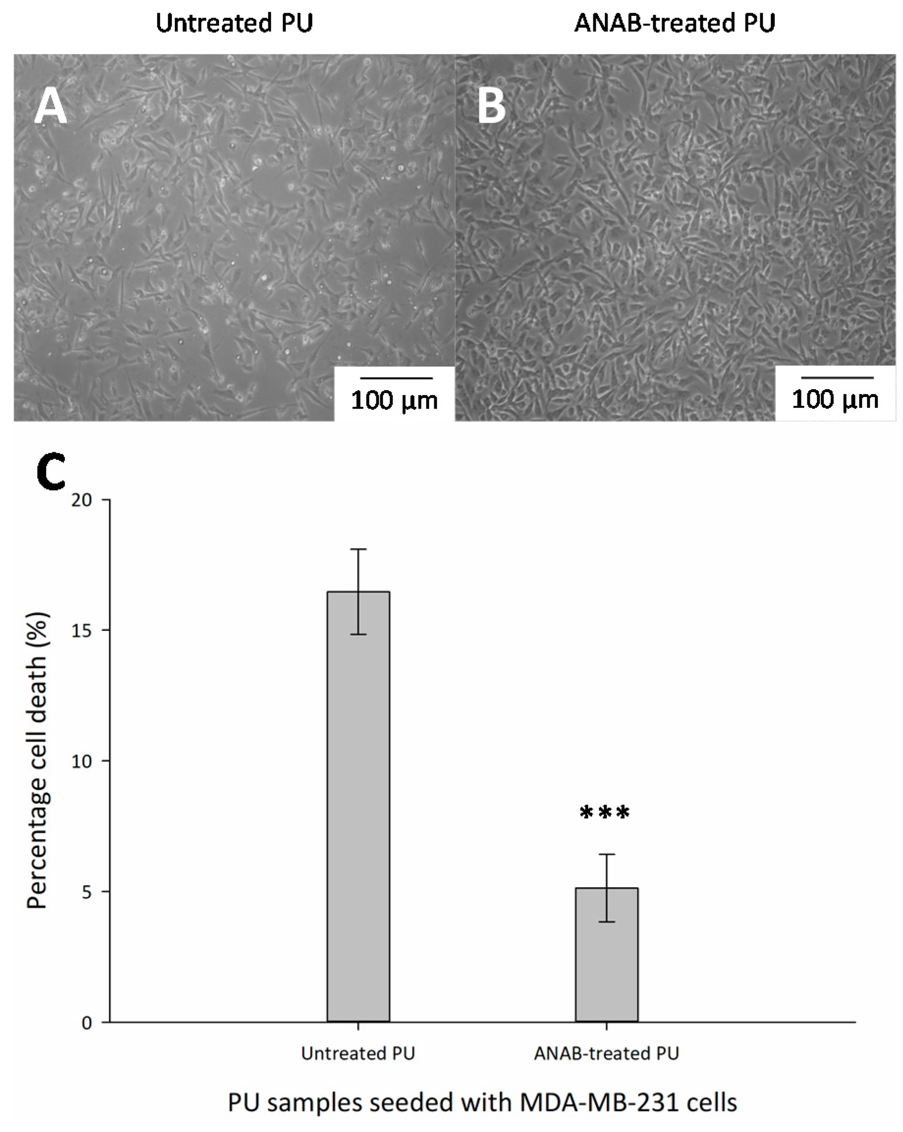 Surfaces 02 00009 g006