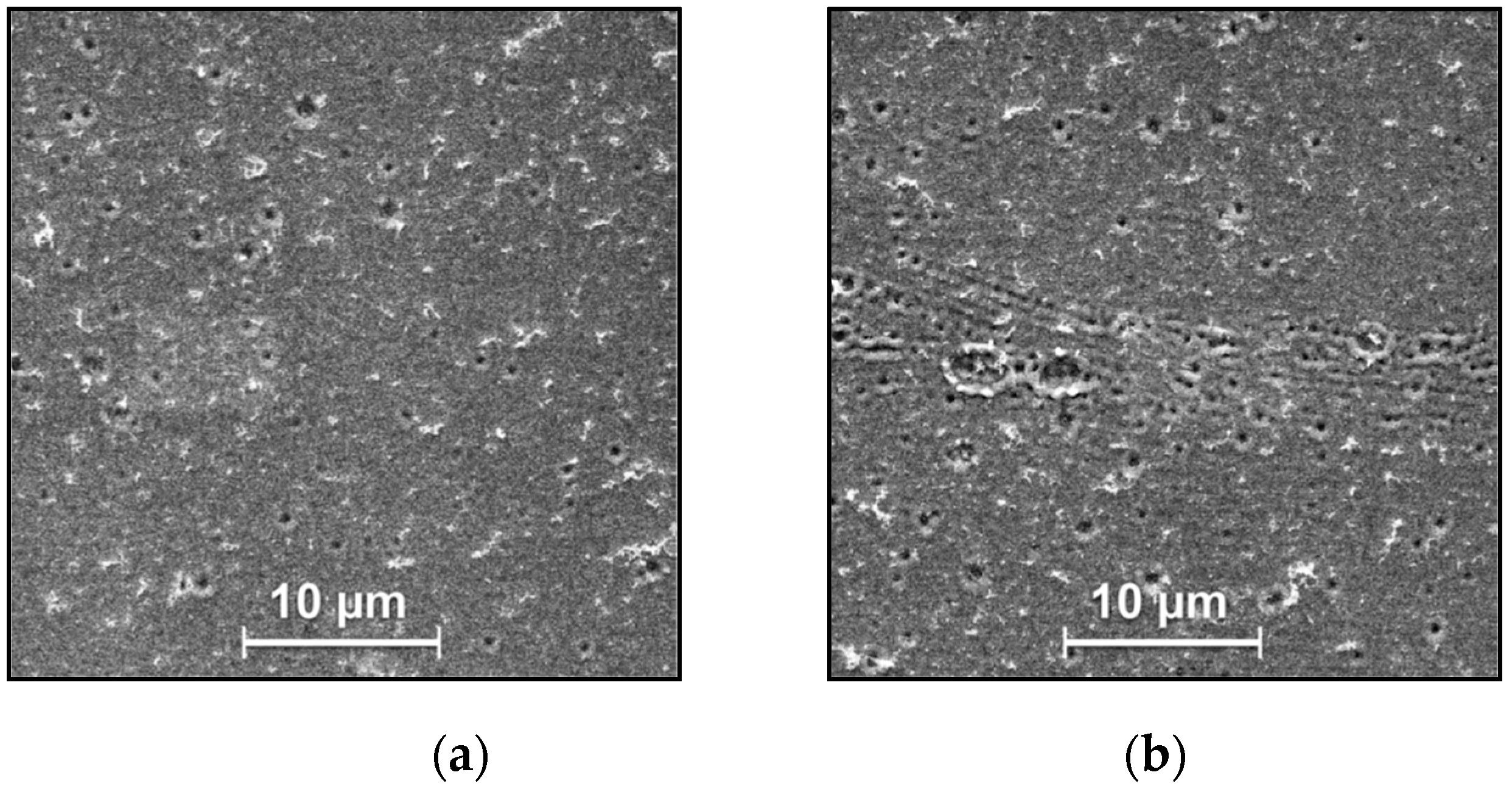 Surfaces 02 00021 g002