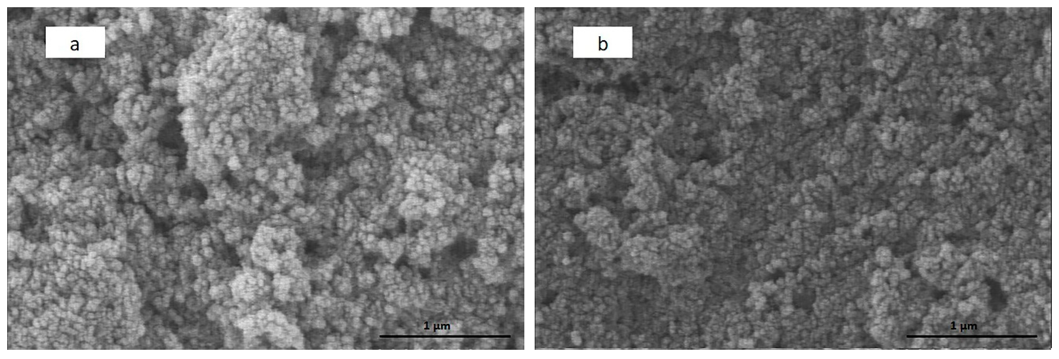 Surfaces 02 00034 g005