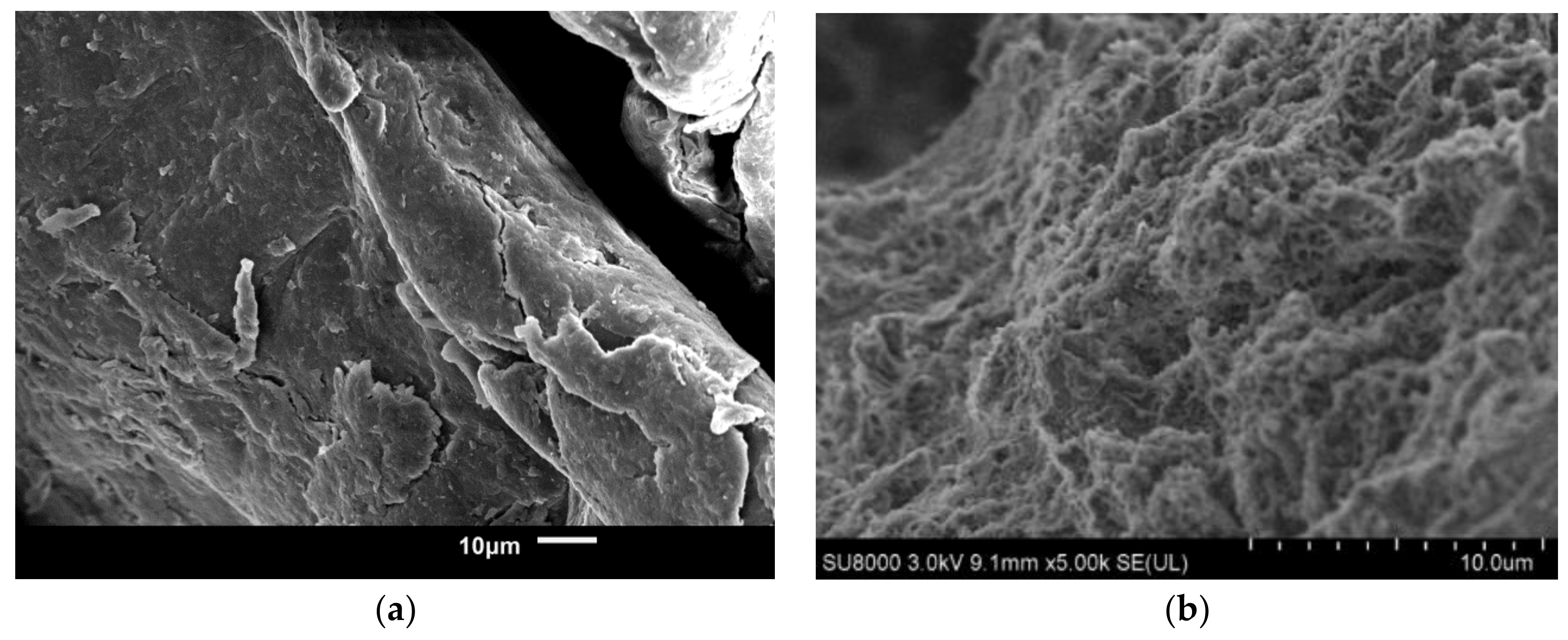 Surfaces 02 00035 g004