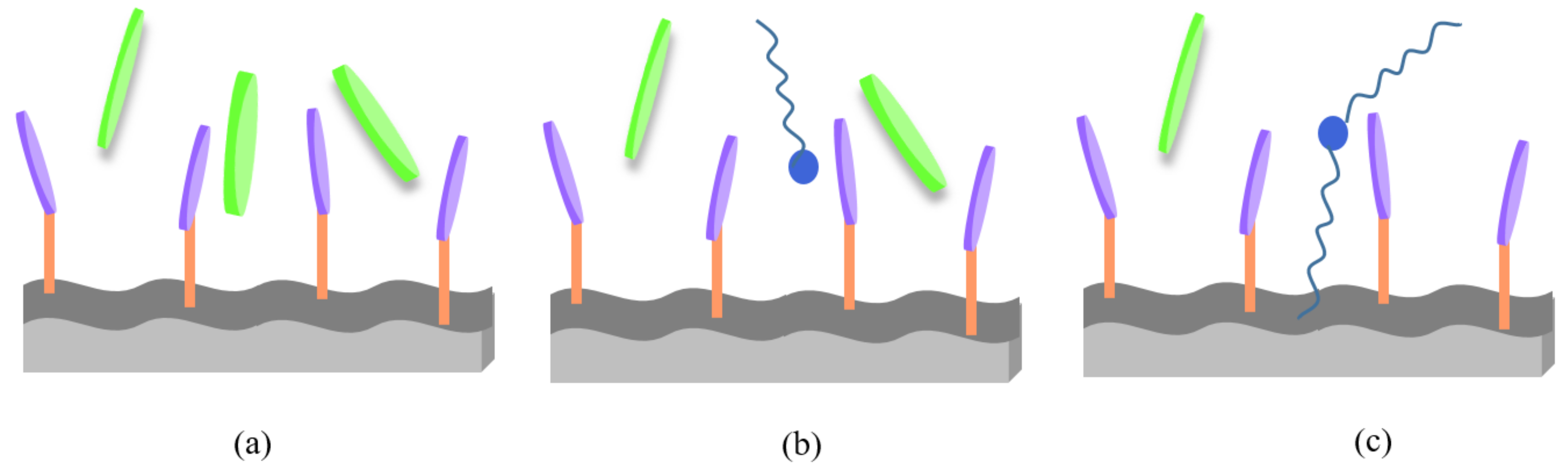 Surfaces 02 00035 sch002