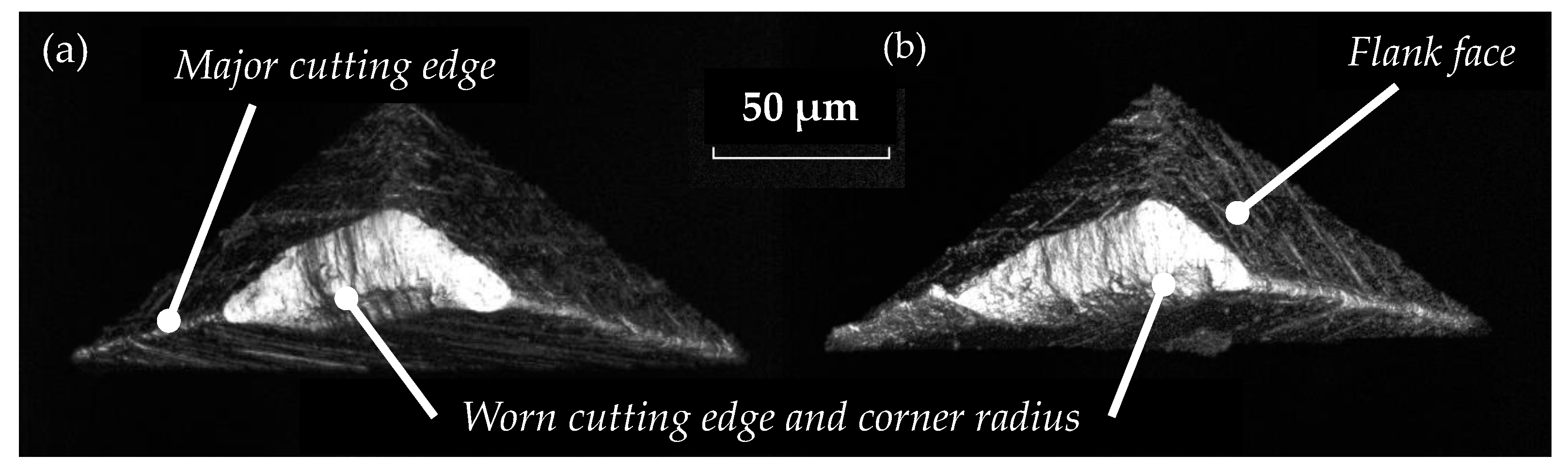 Surfaces 02 00037 g013