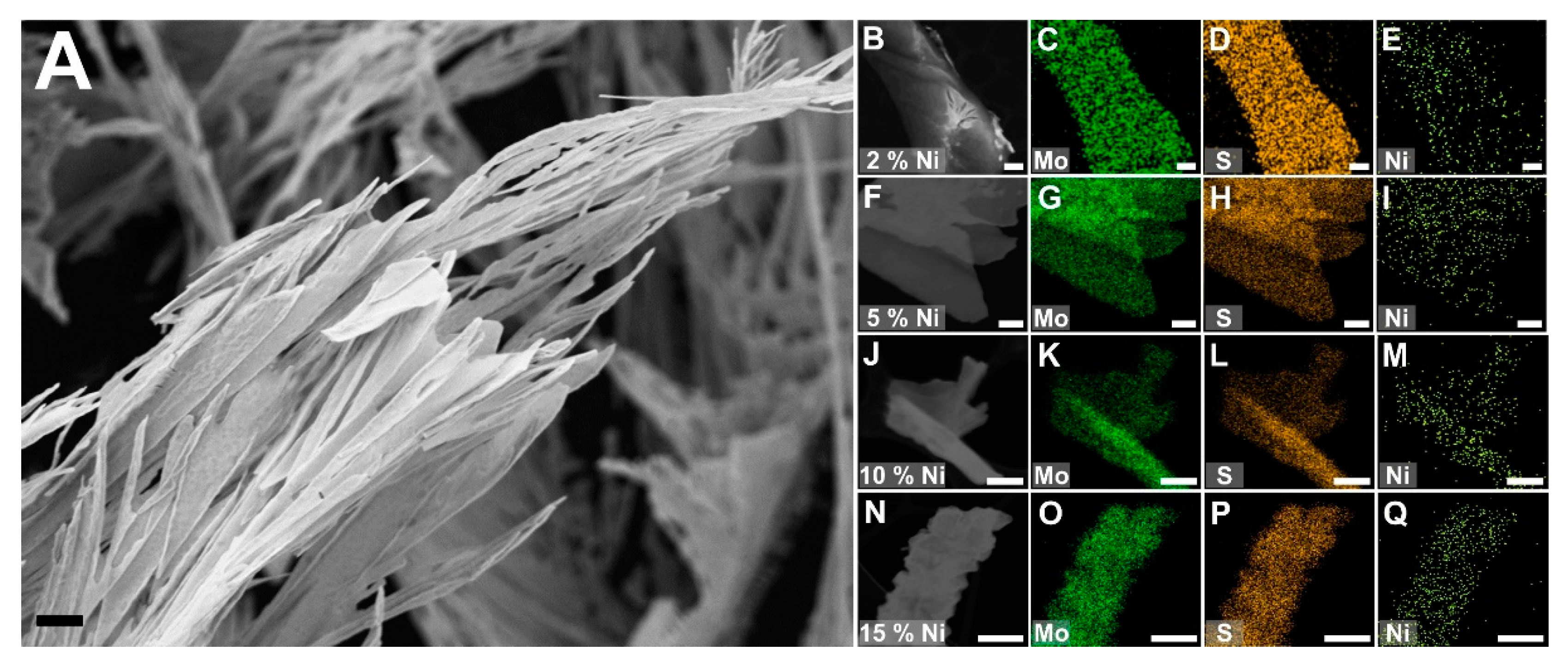 Surfaces 02 00039 g001