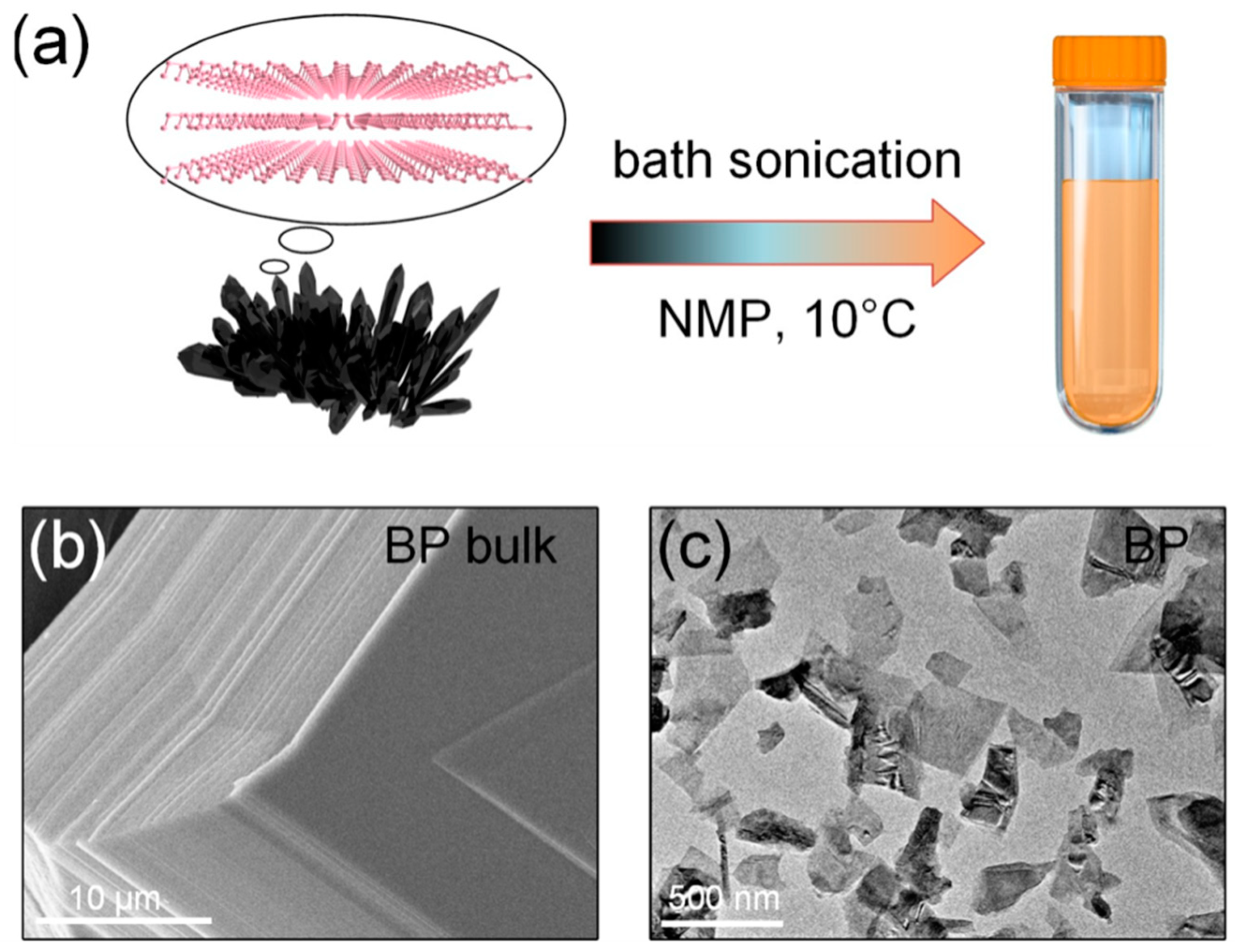 Surfaces 03 00012 g002