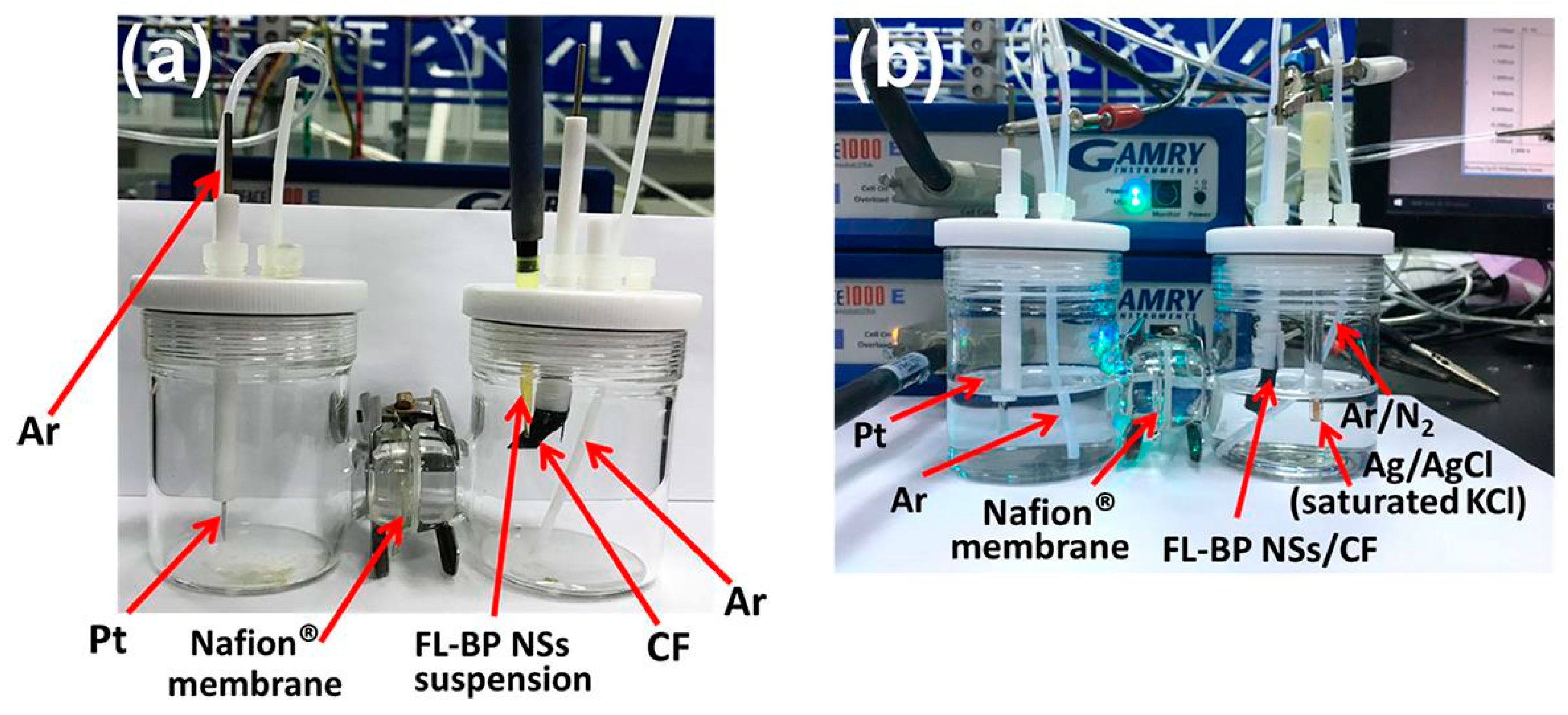 Surfaces 03 00012 g008