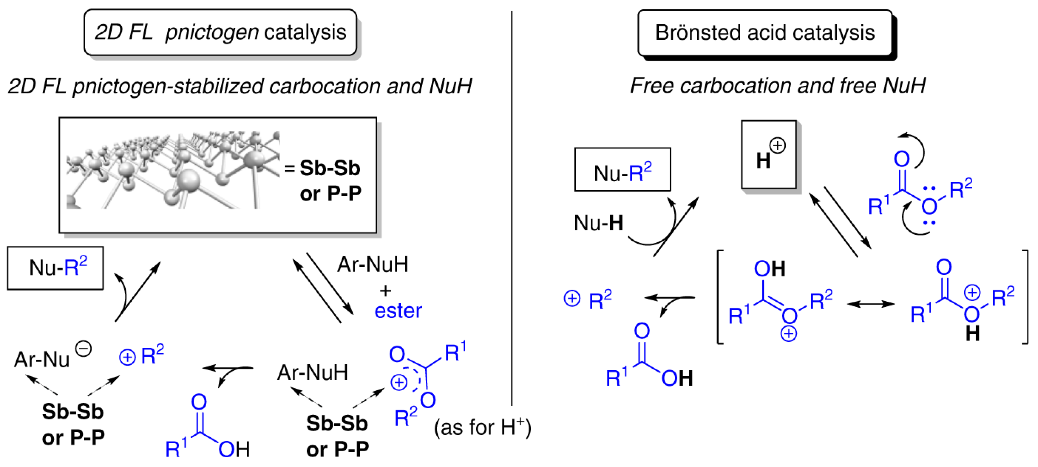 Surfaces 03 00012 g011