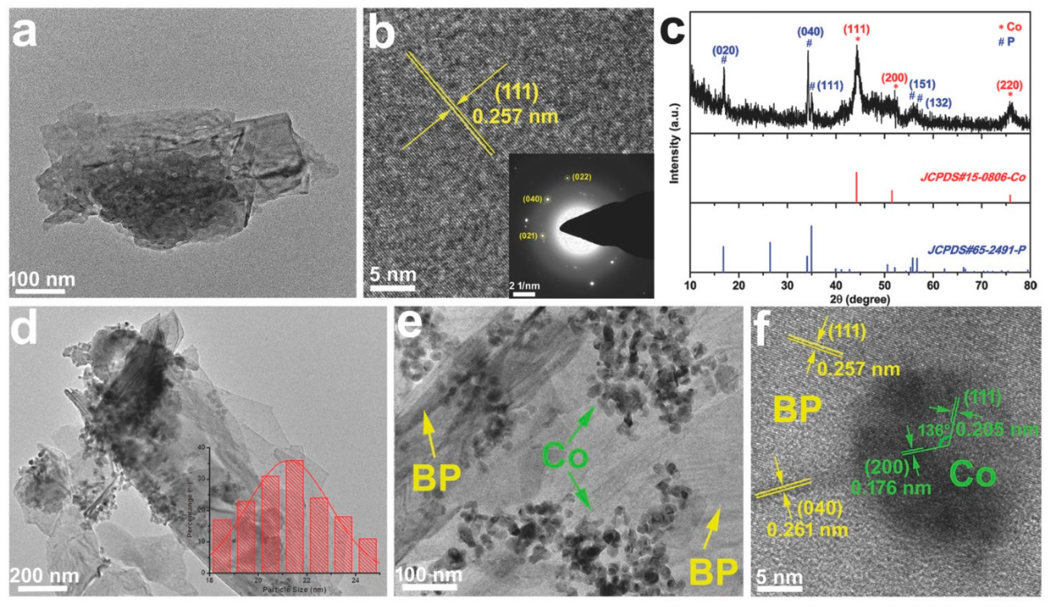 Surfaces 03 00012 g012
