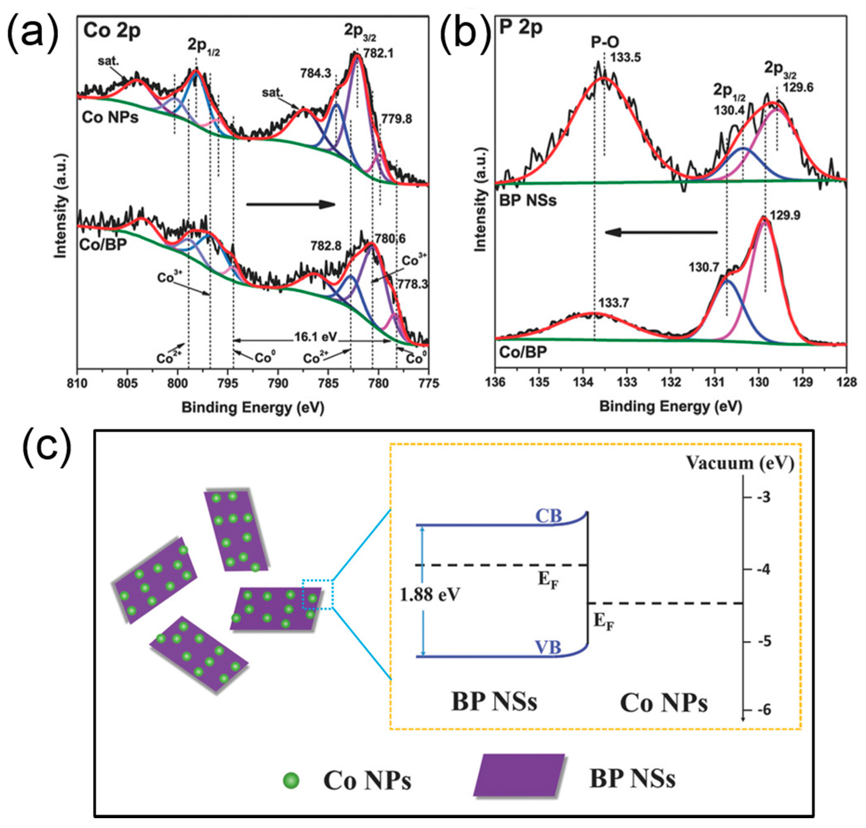 Surfaces 03 00012 g013