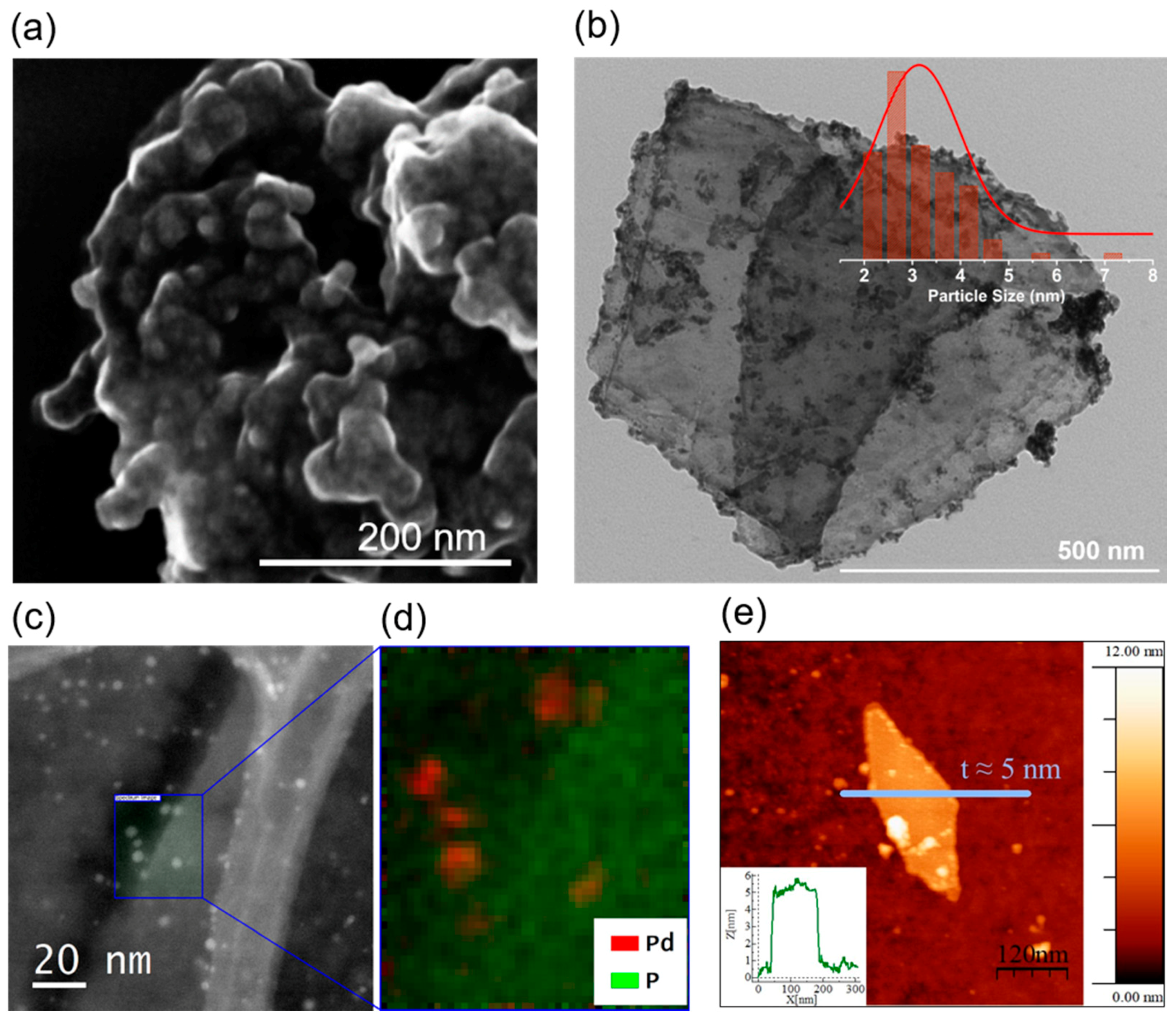 Surfaces 03 00012 g017