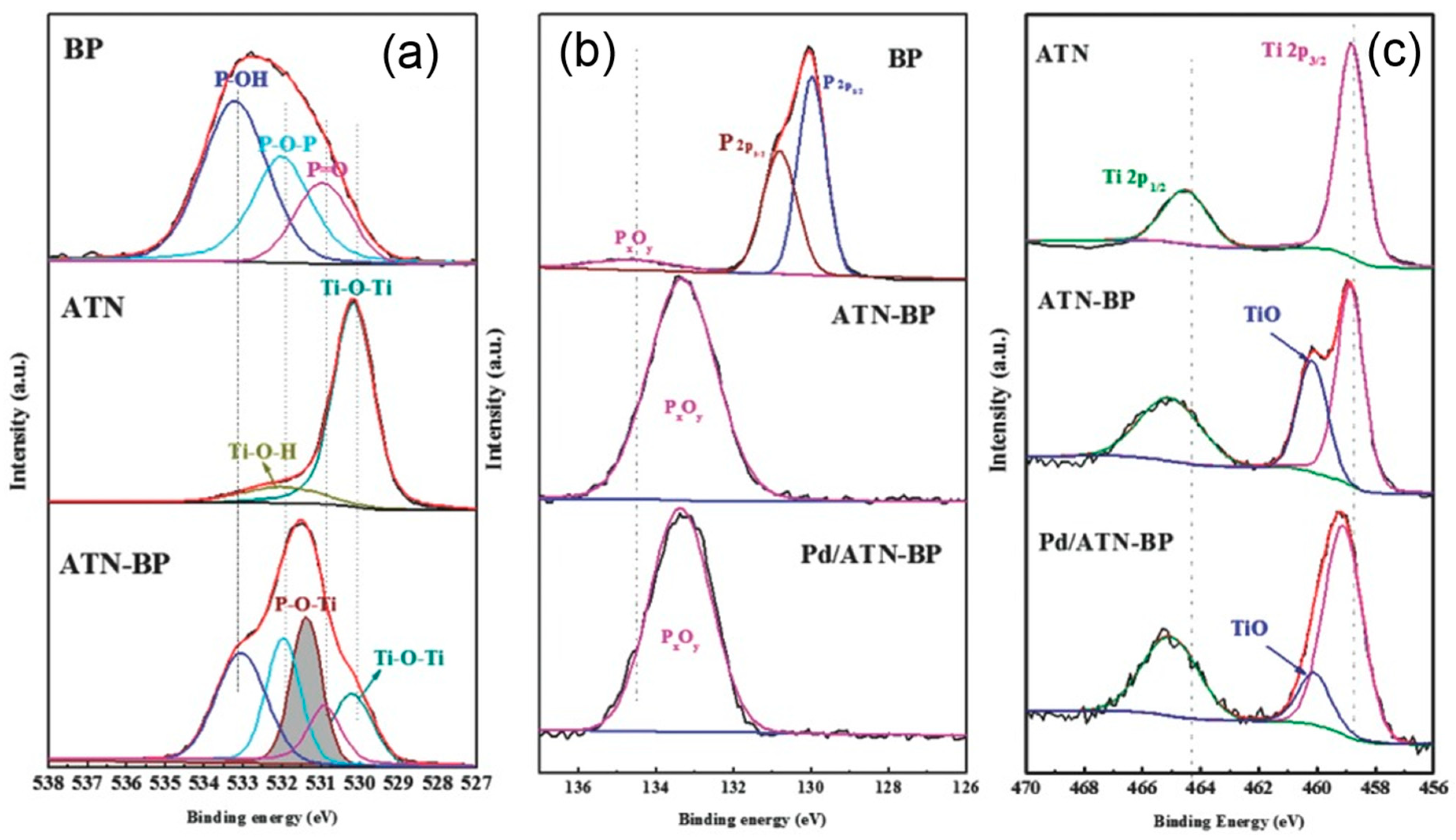 Surfaces 03 00012 g020