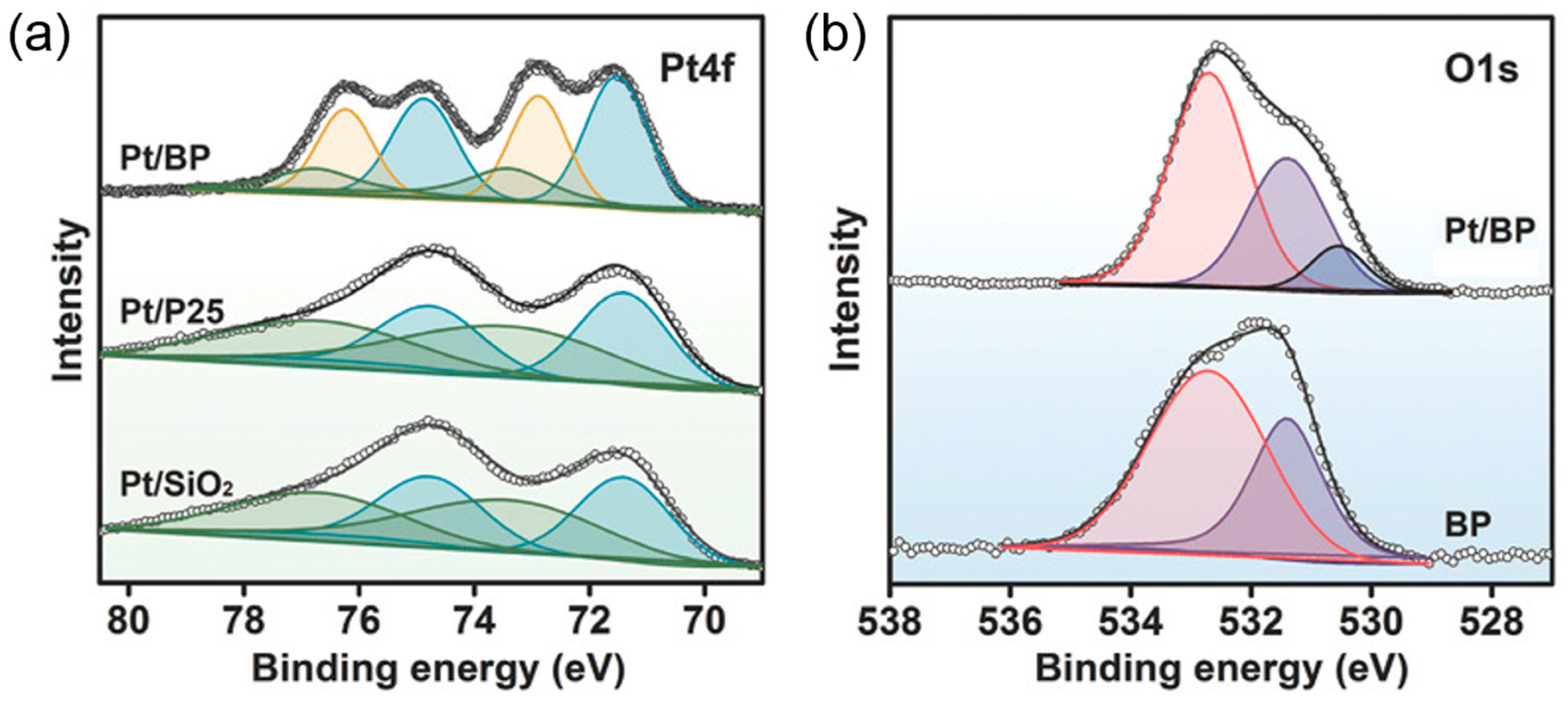 Surfaces 03 00012 g022