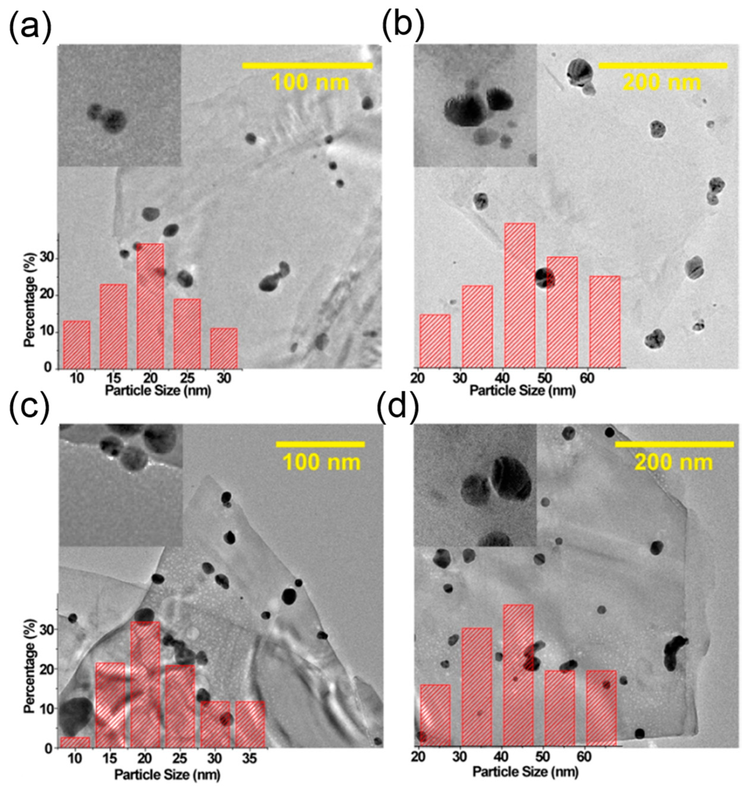 Surfaces 03 00012 g027
