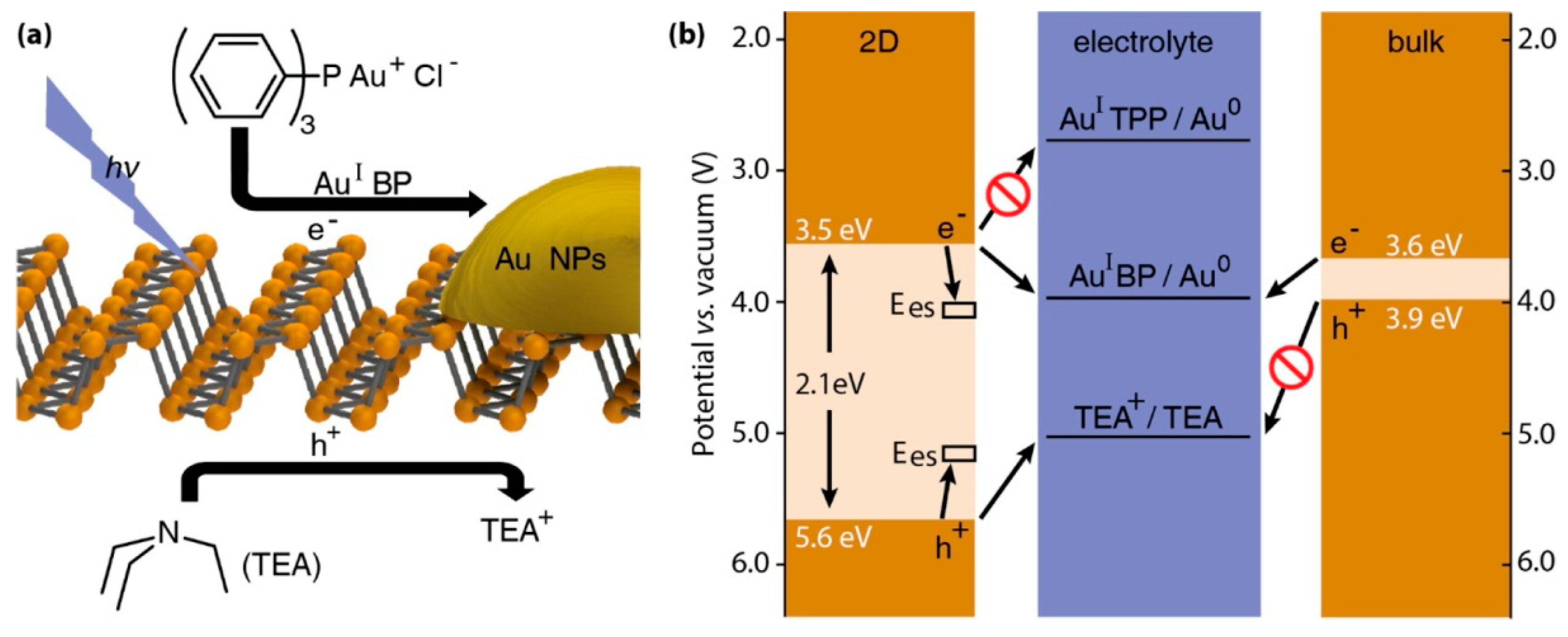Surfaces 03 00012 g030