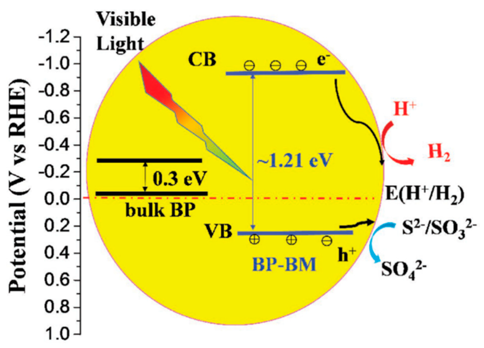 Surfaces 03 00012 sch001