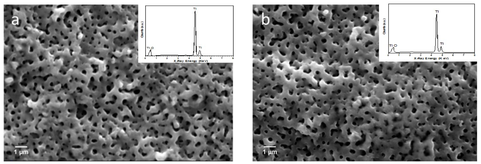 Surfaces 03 00013 g001