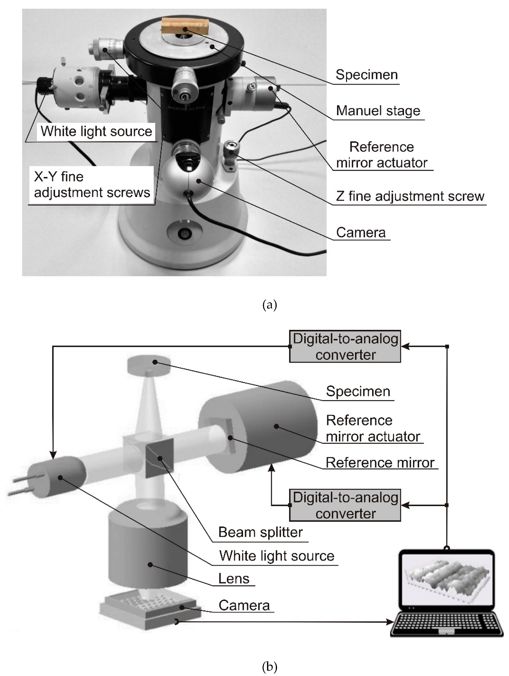 Surfaces 03 00016 g002