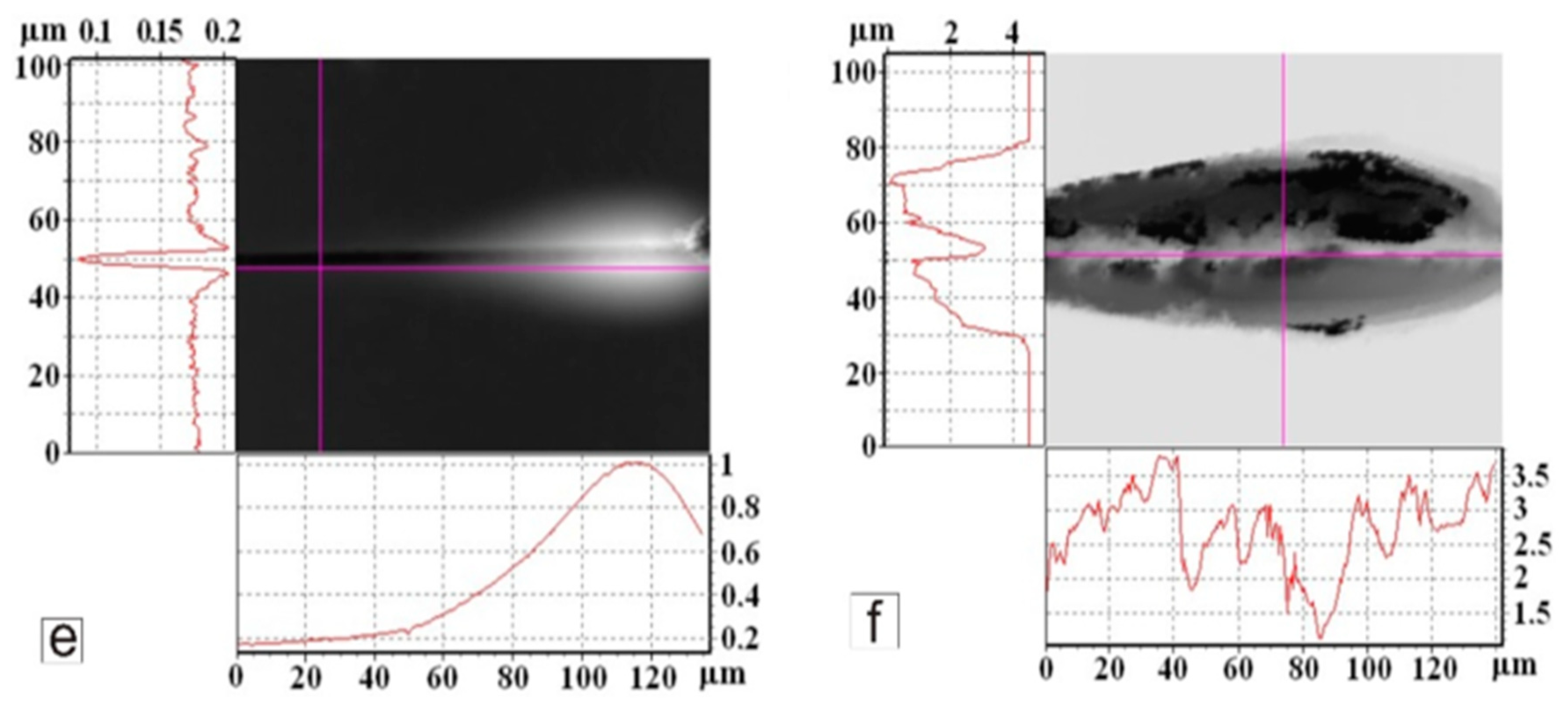 Surfaces 03 00016 g007b