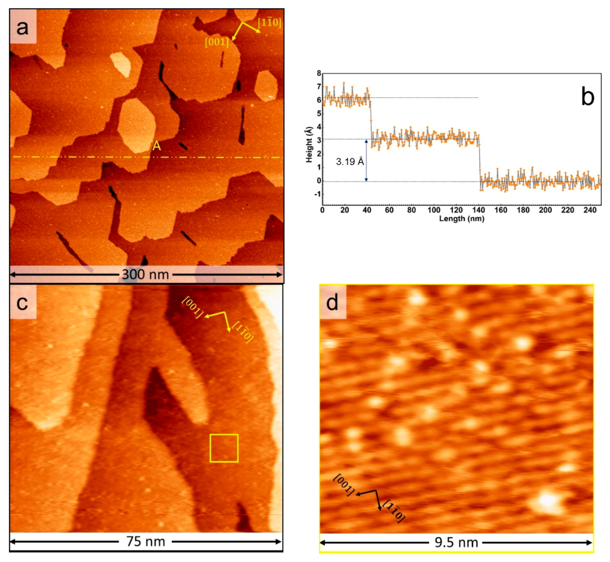 Surfaces 03 00041 g001