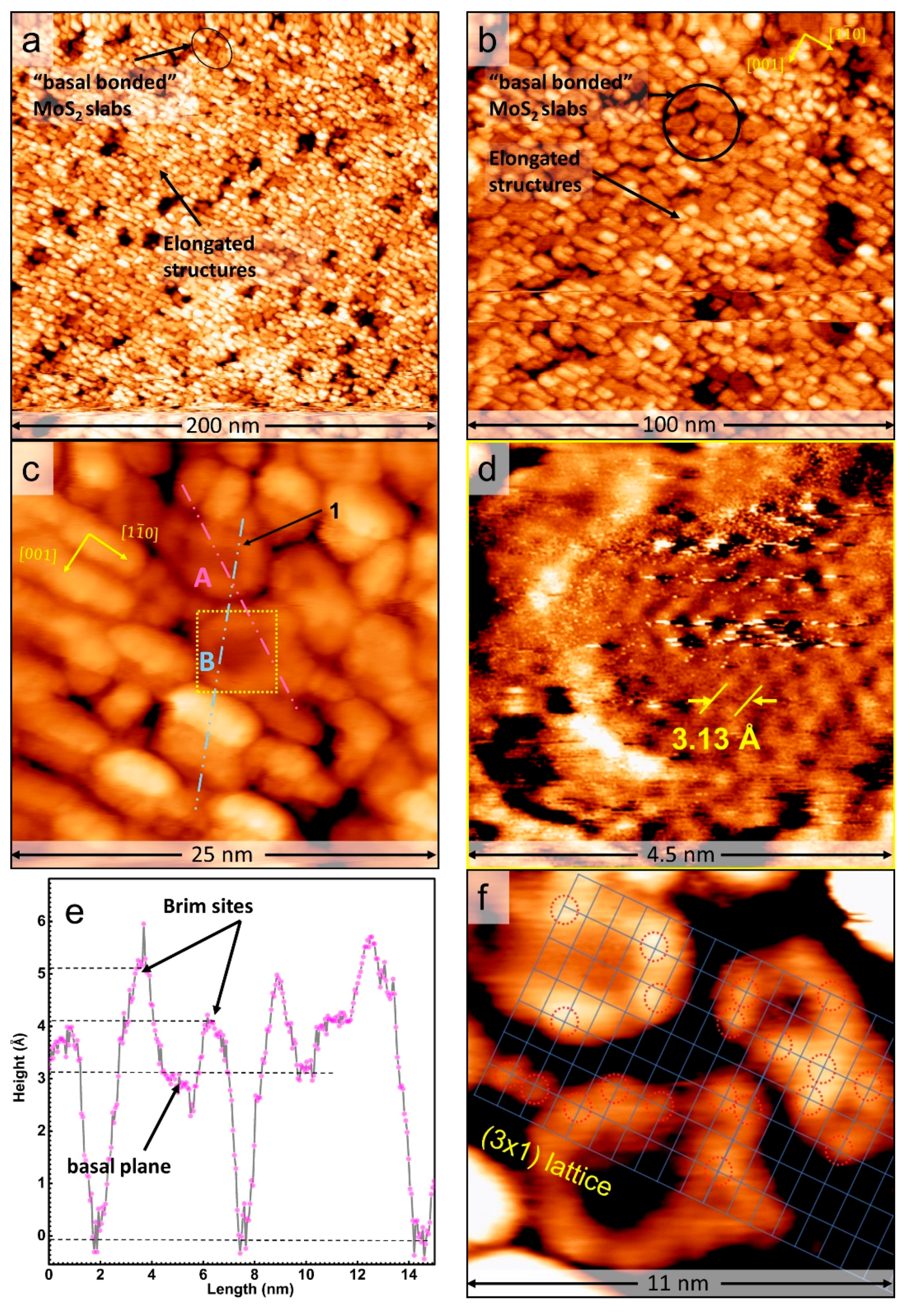 Surfaces 03 00041 g003