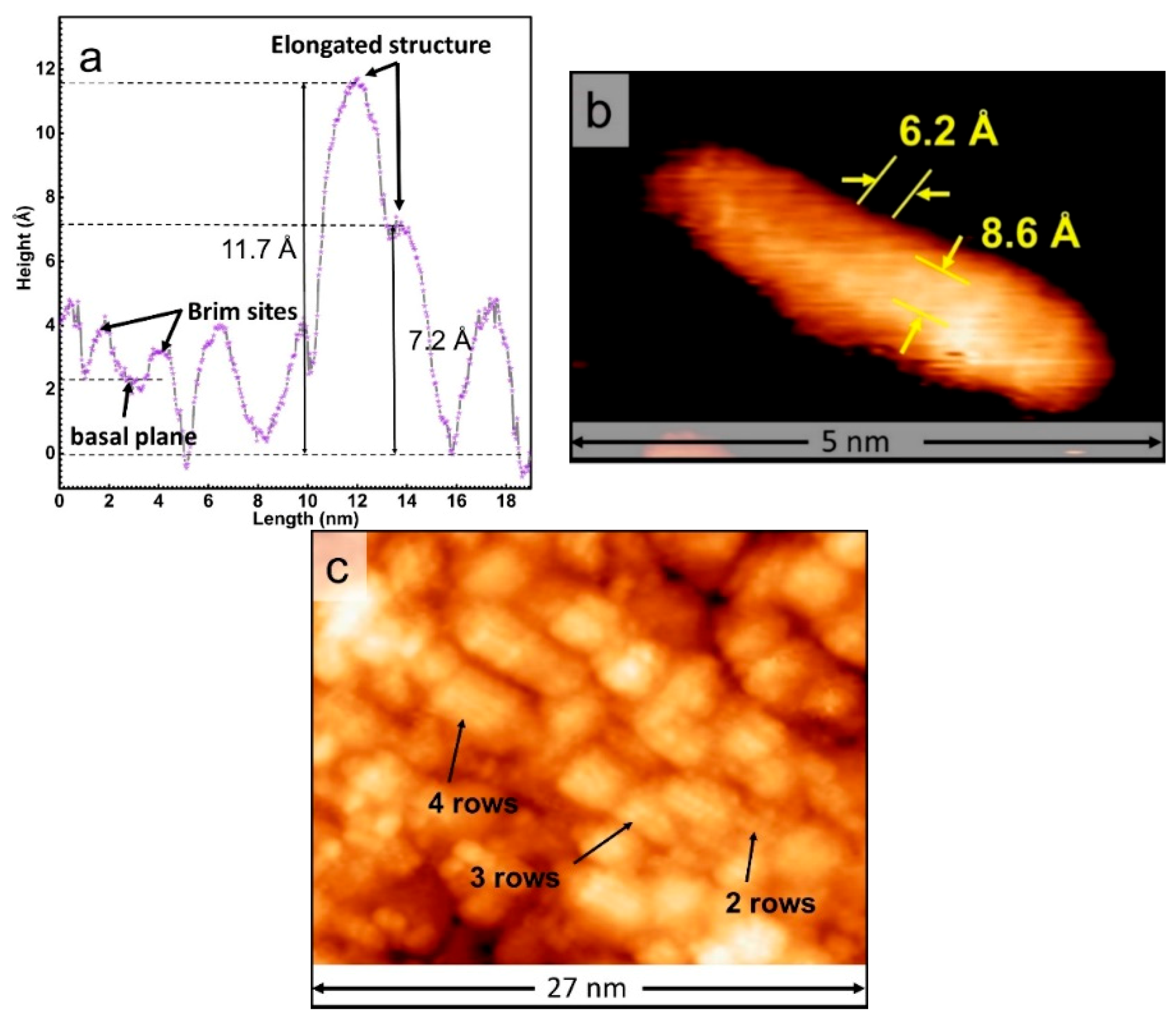 Surfaces 03 00041 g005