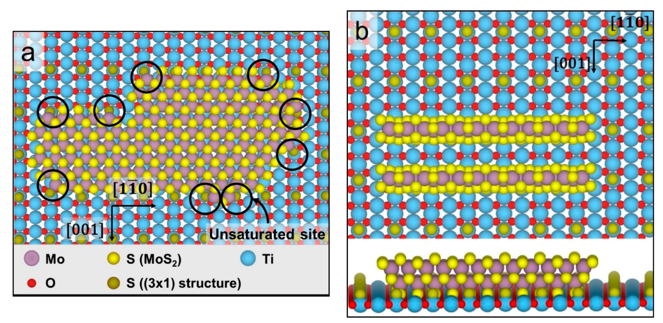 Surfaces 03 00041 g007